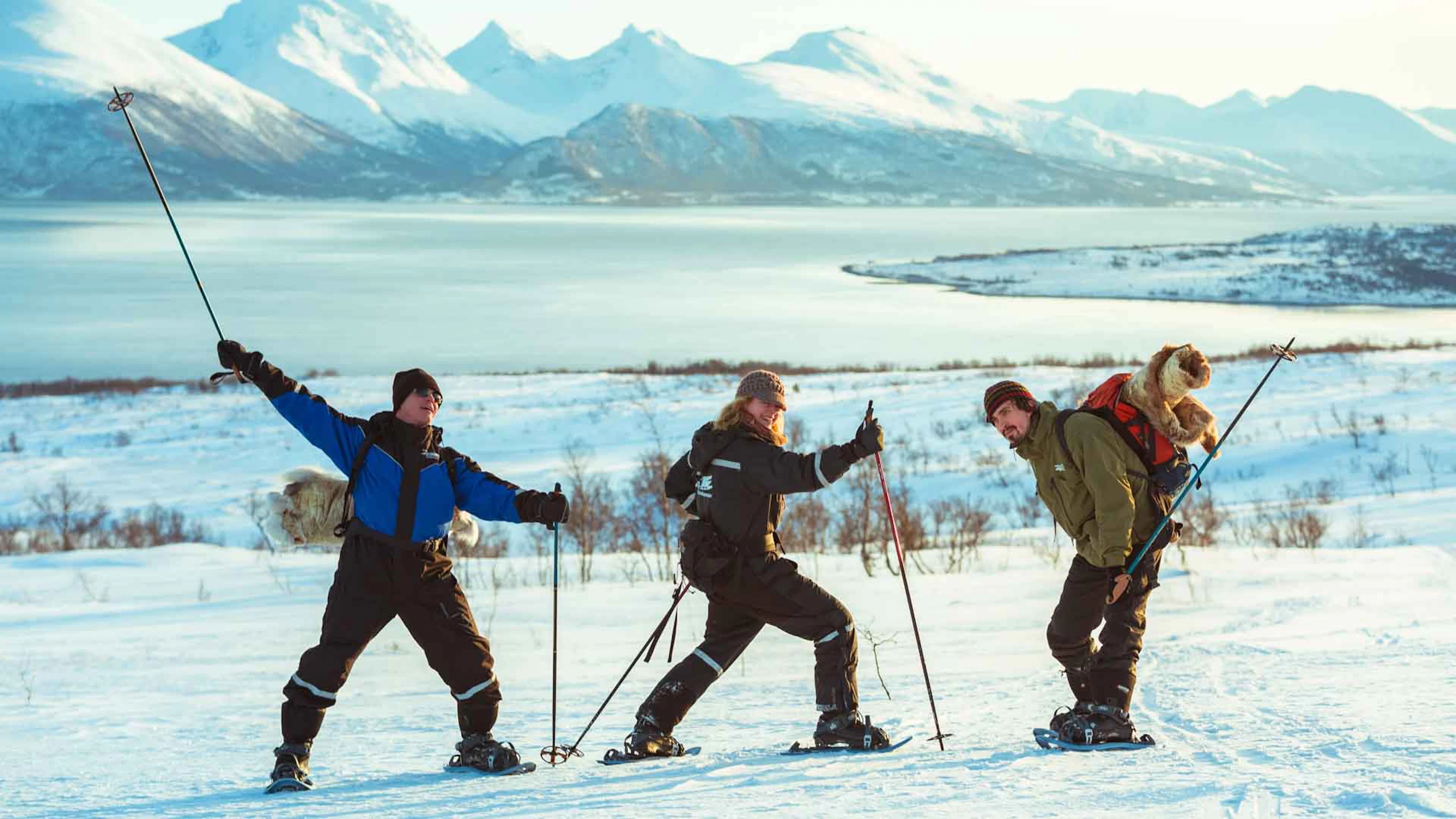 Morgendliche Husky-Schneeschuhwanderung in Tromso