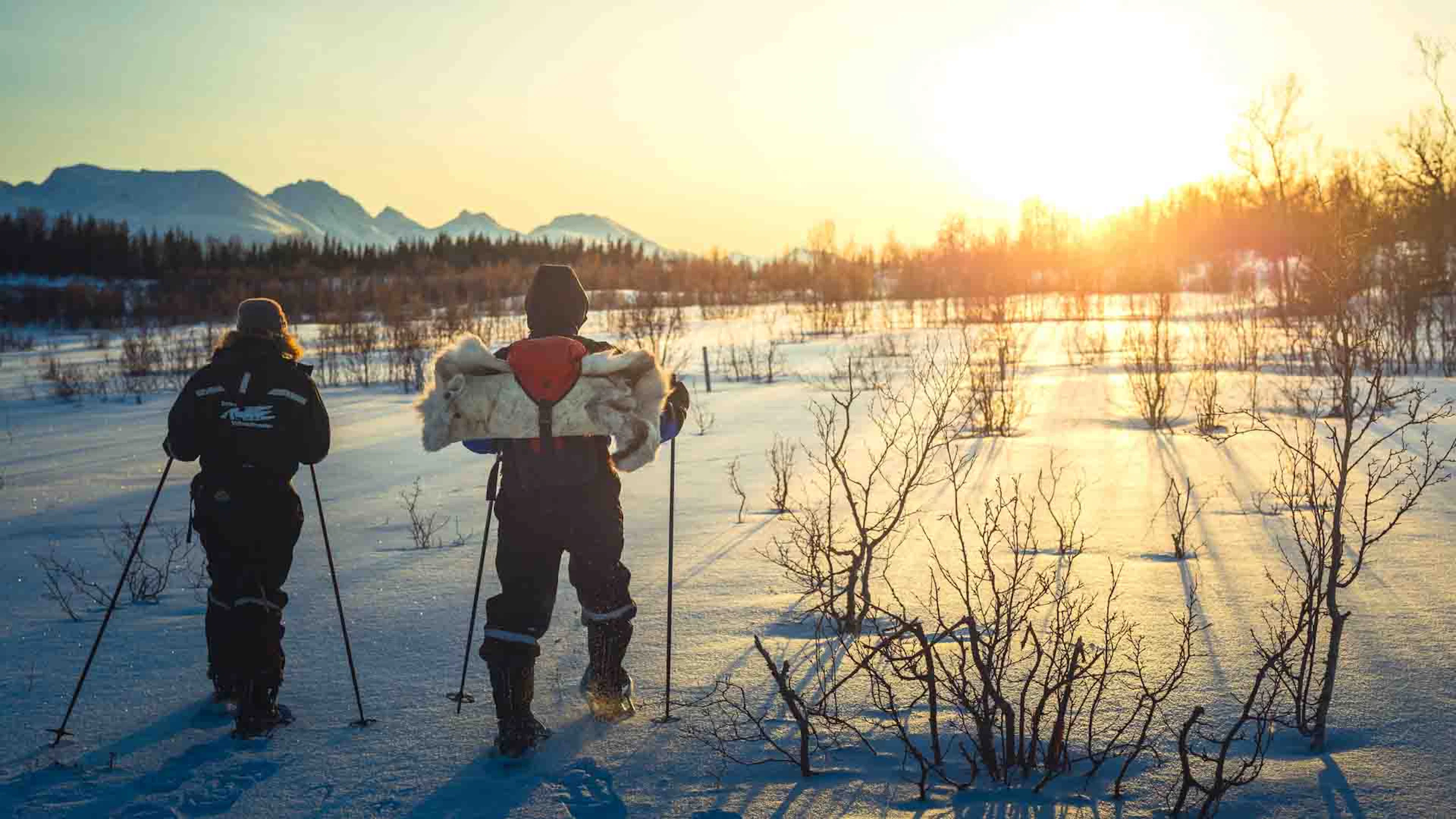 Morgendliche Husky-Schneeschuhwanderung in Tromso