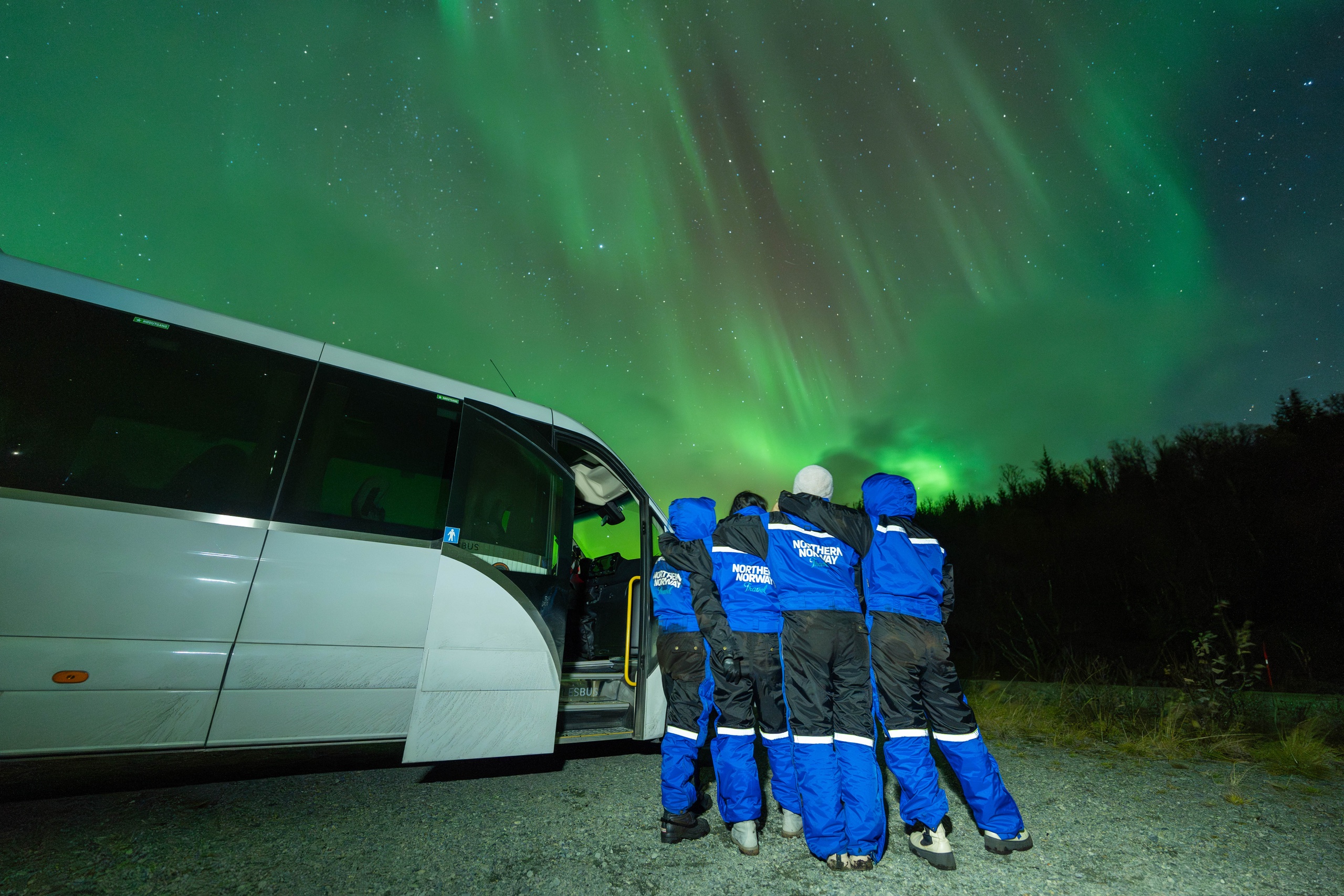 Aurora & Arctic: The Ultimate Polar Experience in Tromsø