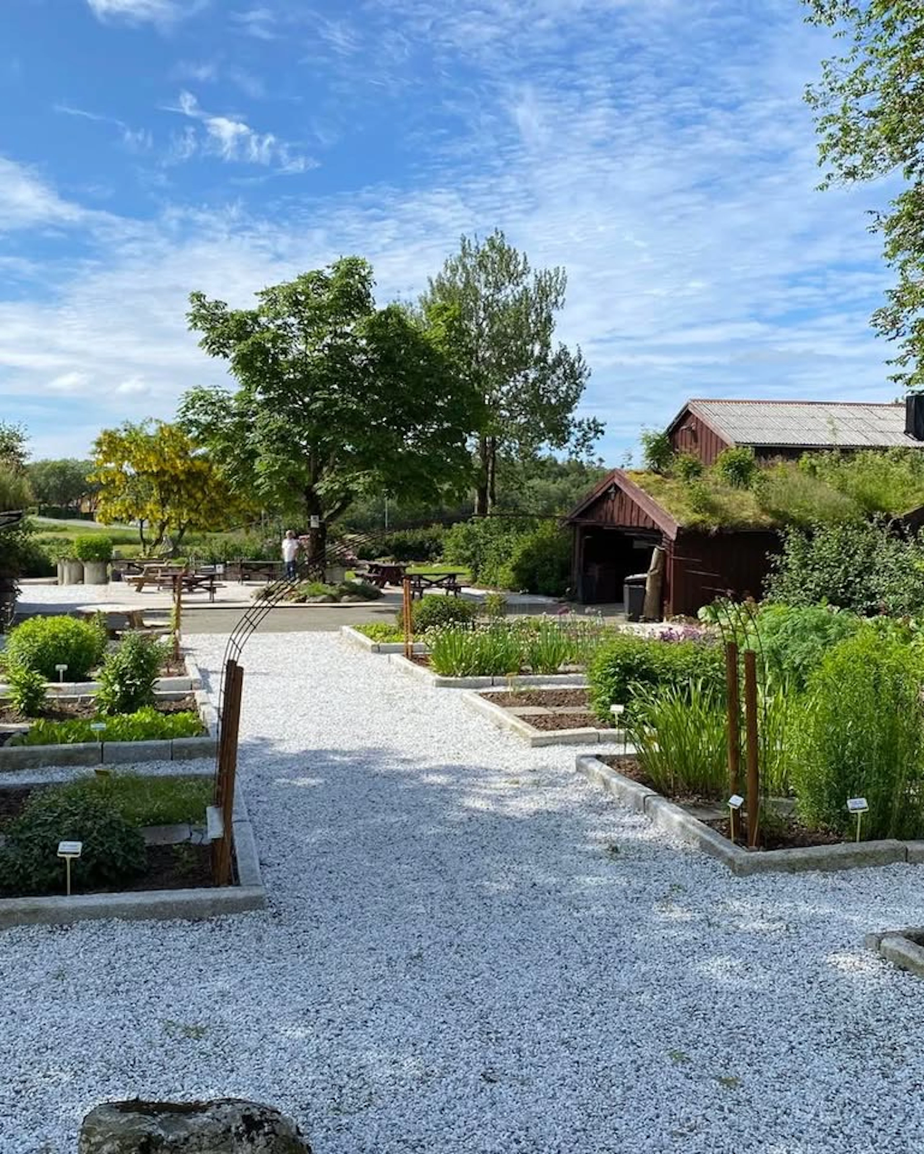 Gartenspaziergang in Hildurs Kräutergarten - Brønnøysund, Norwegen