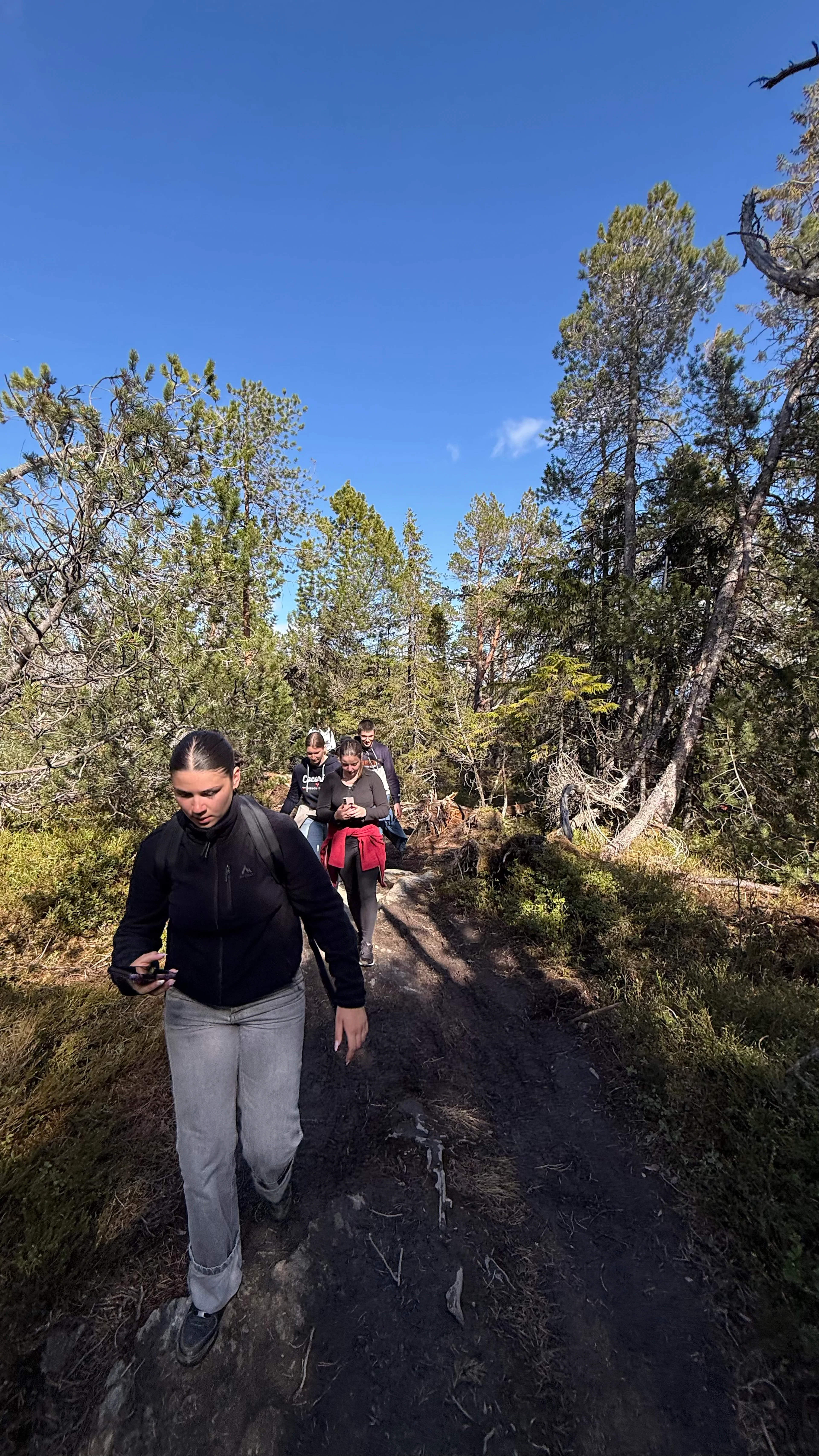 Die Bymarka Escape: Wandertour in Trondheim