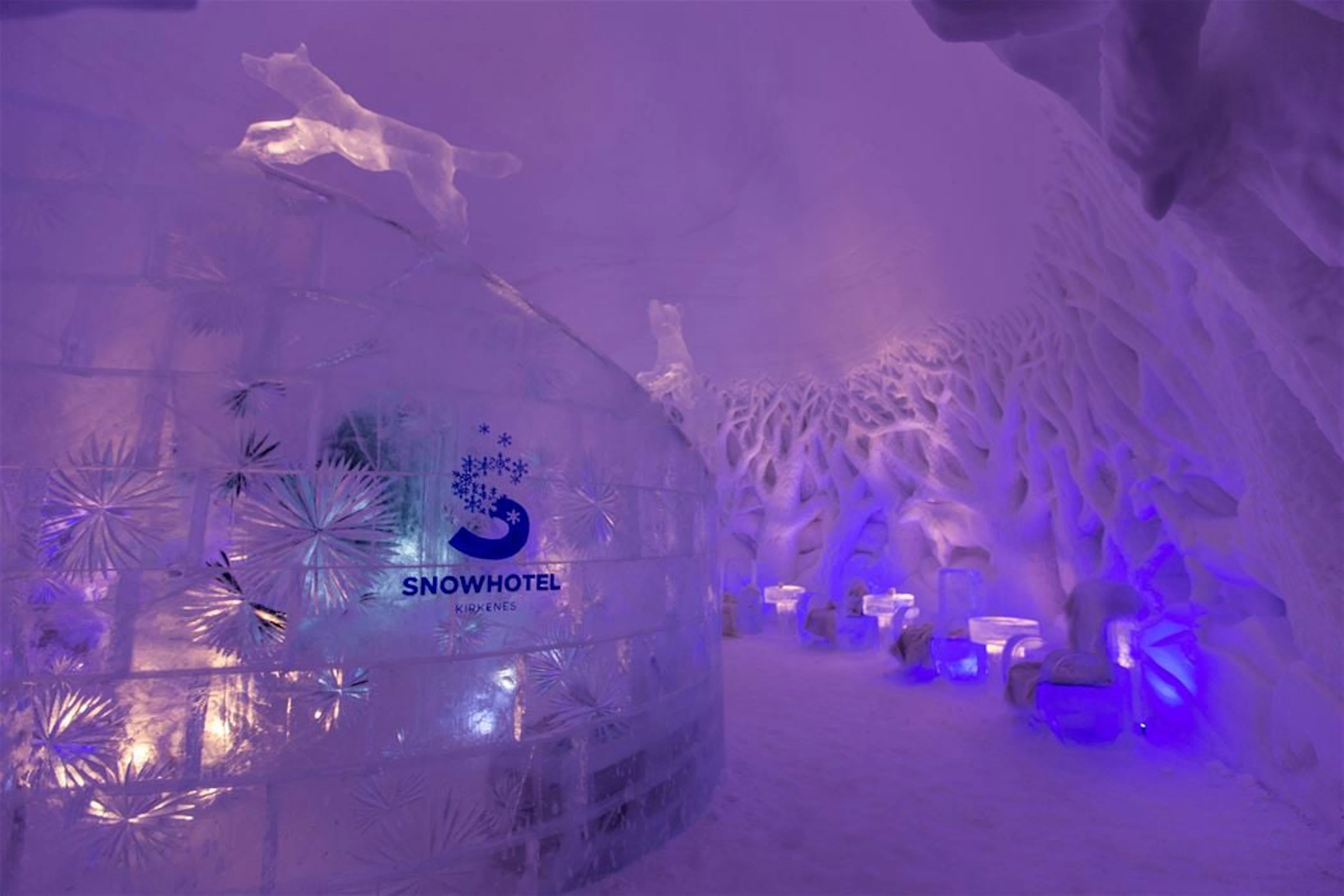Besuch des Skigebiets Kirkenes mit arktischem Abendessen inkl. Transfer von Thon oder Scandic - Kirkenes, Norwegen