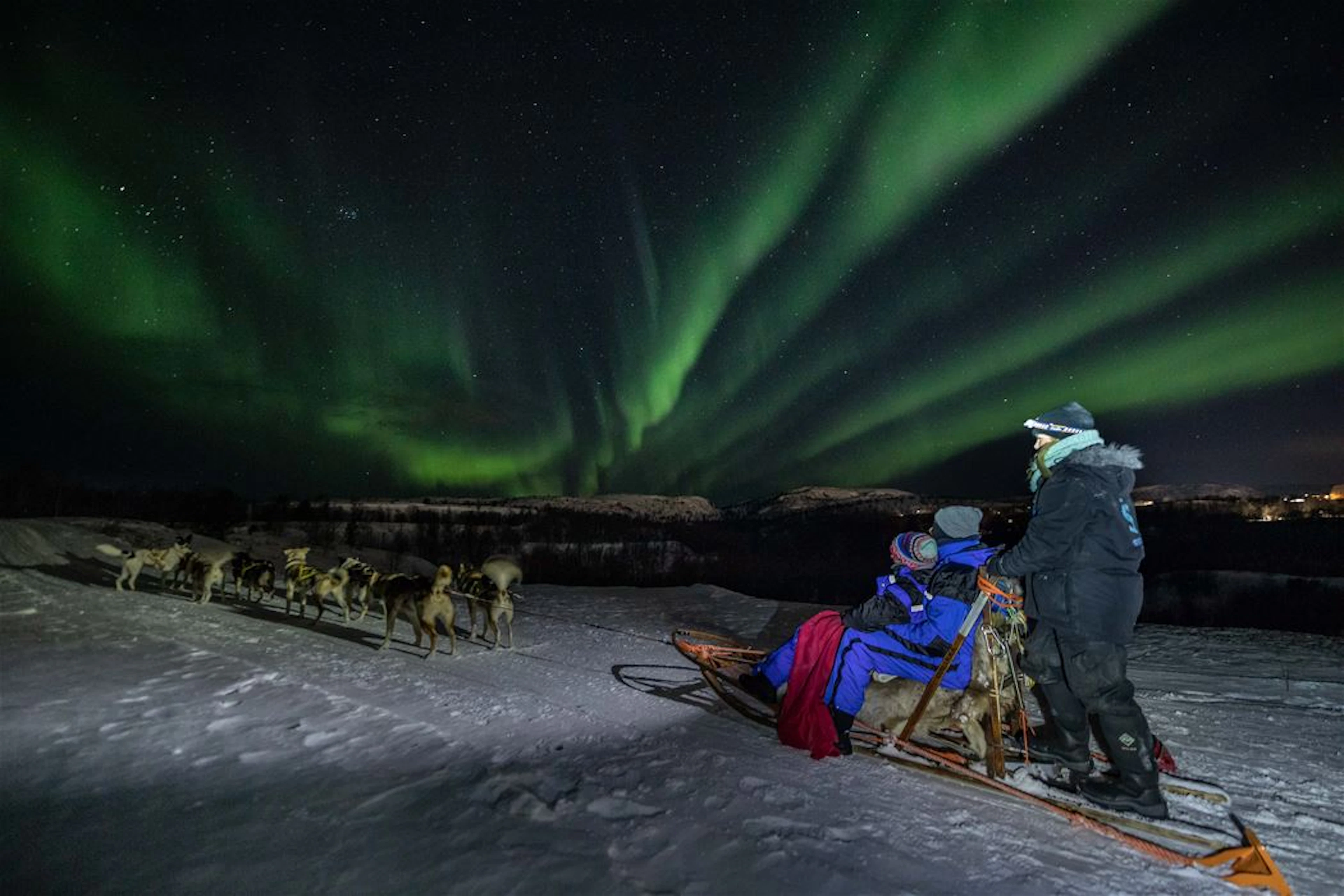 Jagd auf das Nordlicht mit dem Husky - Kirkenes (Abfahrt 21:00)