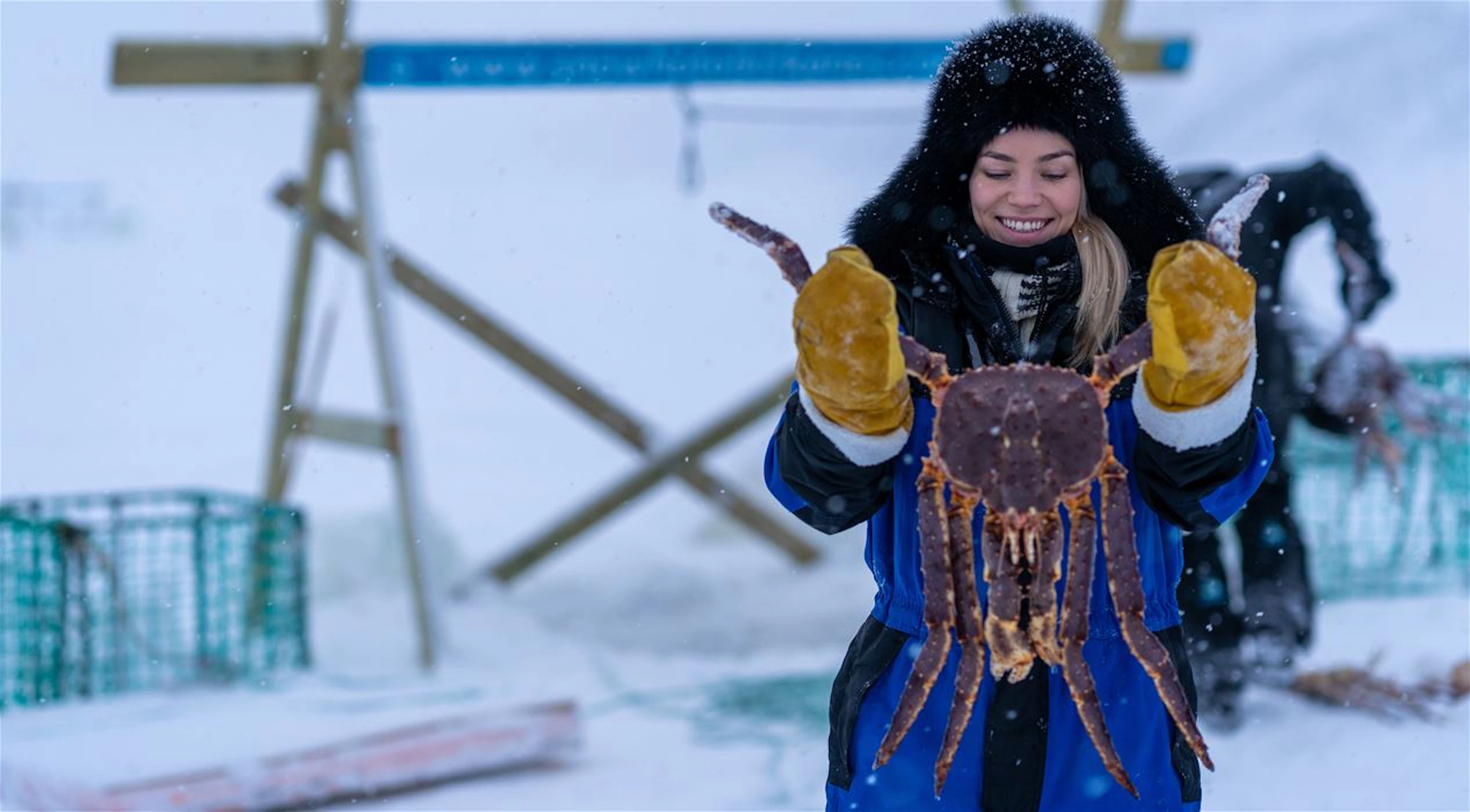 Original-Königskrabben-Safari mit dem Schneemobil von SnowResort Kirkenes