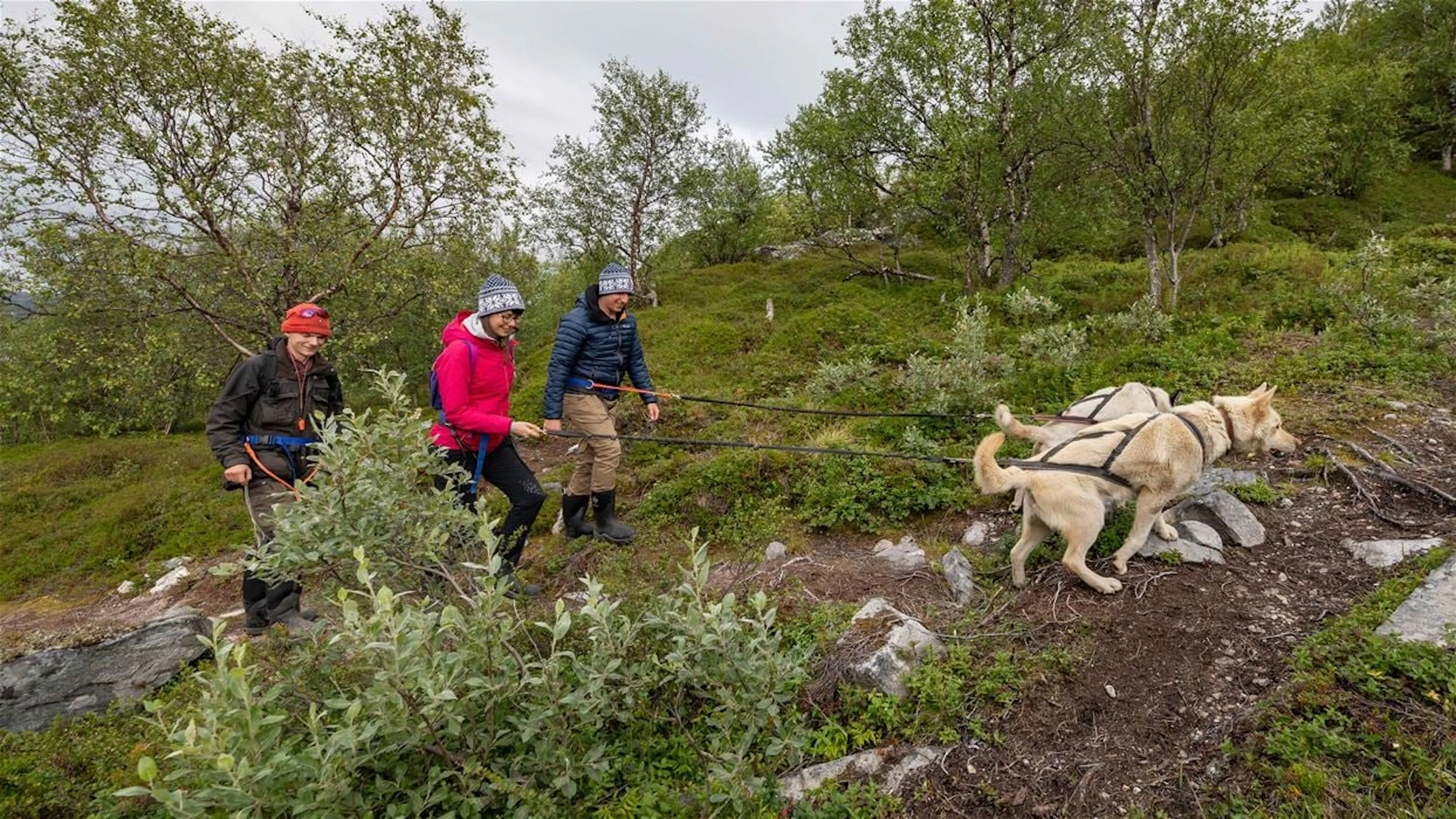 Husky-Bergwanderung von Kirkenes - Abfahrt 13:00