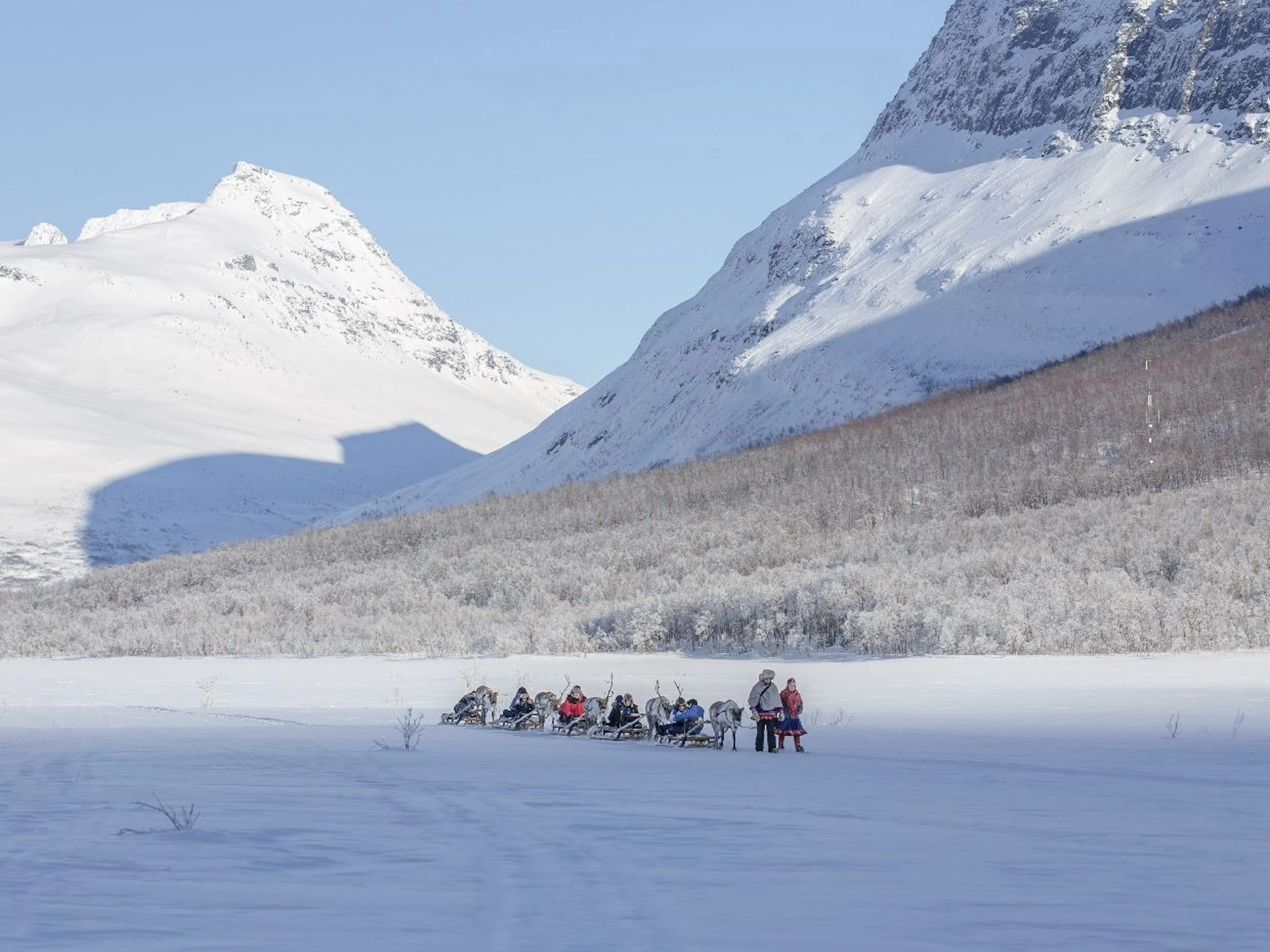 Rentierschlittenfahrt am Tag ab Tromsø – Inklusive Transport zum Camp Tamok