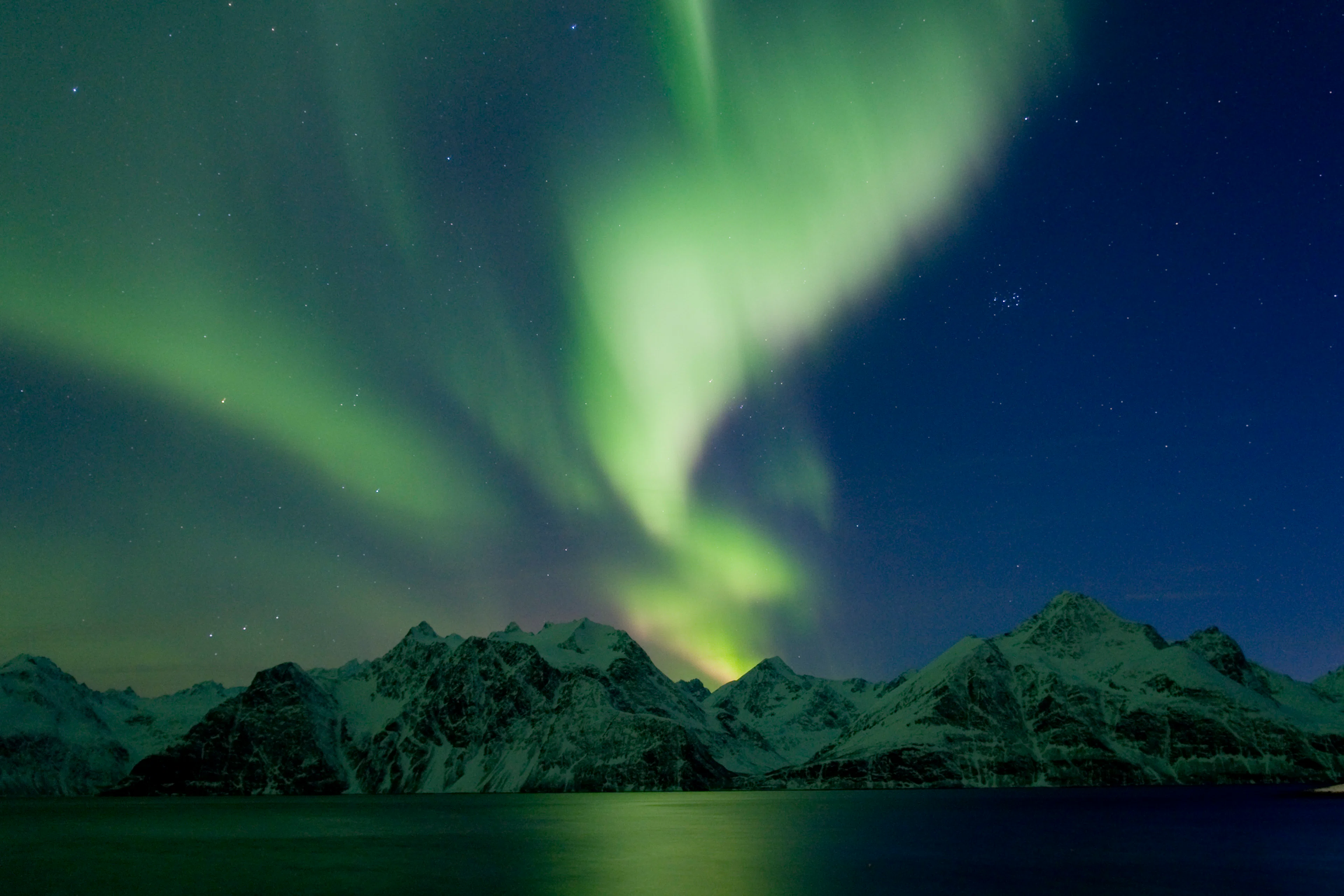 Aurora & Whales Escape - von Boreal Yachting