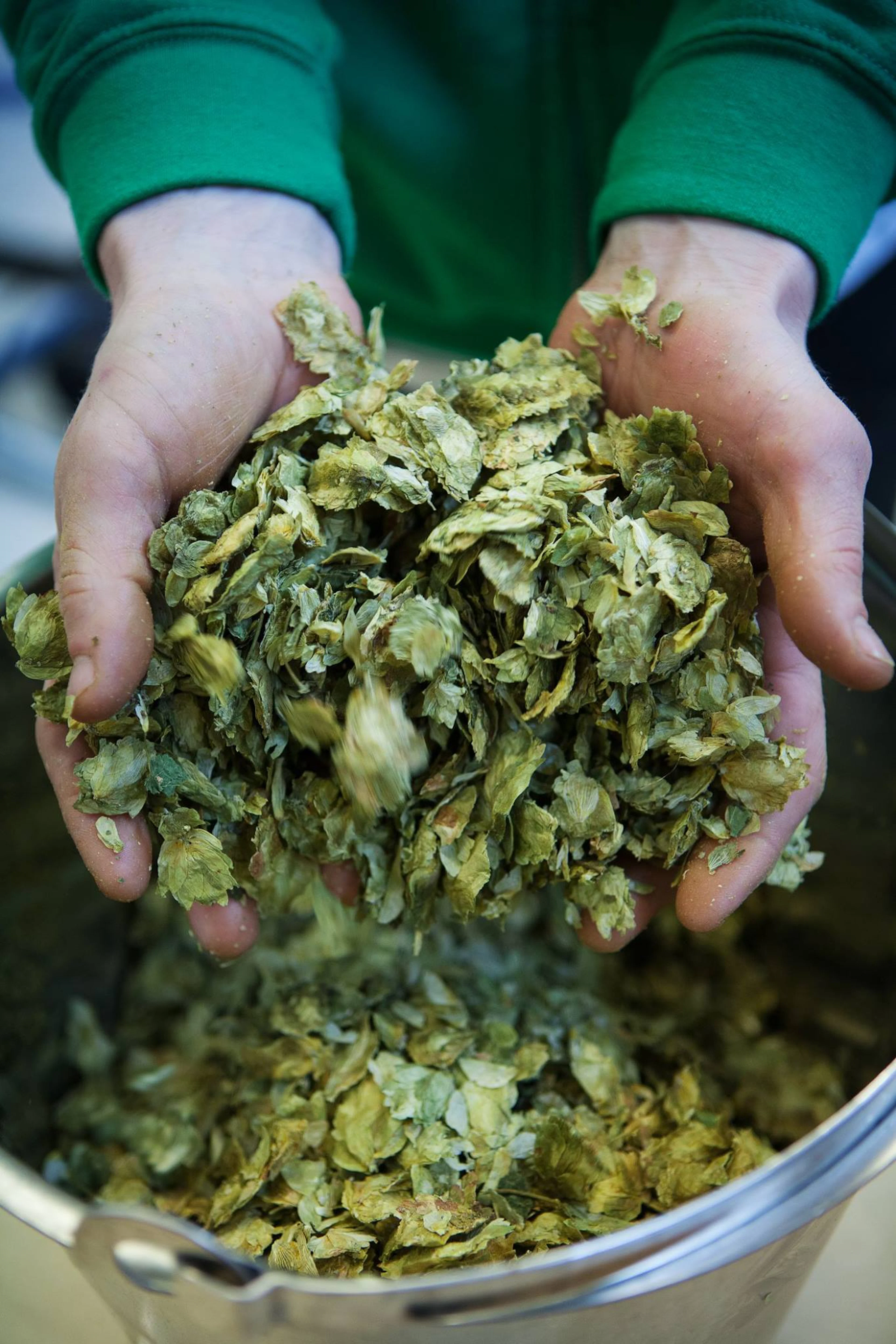 Lokale Bierverkostung