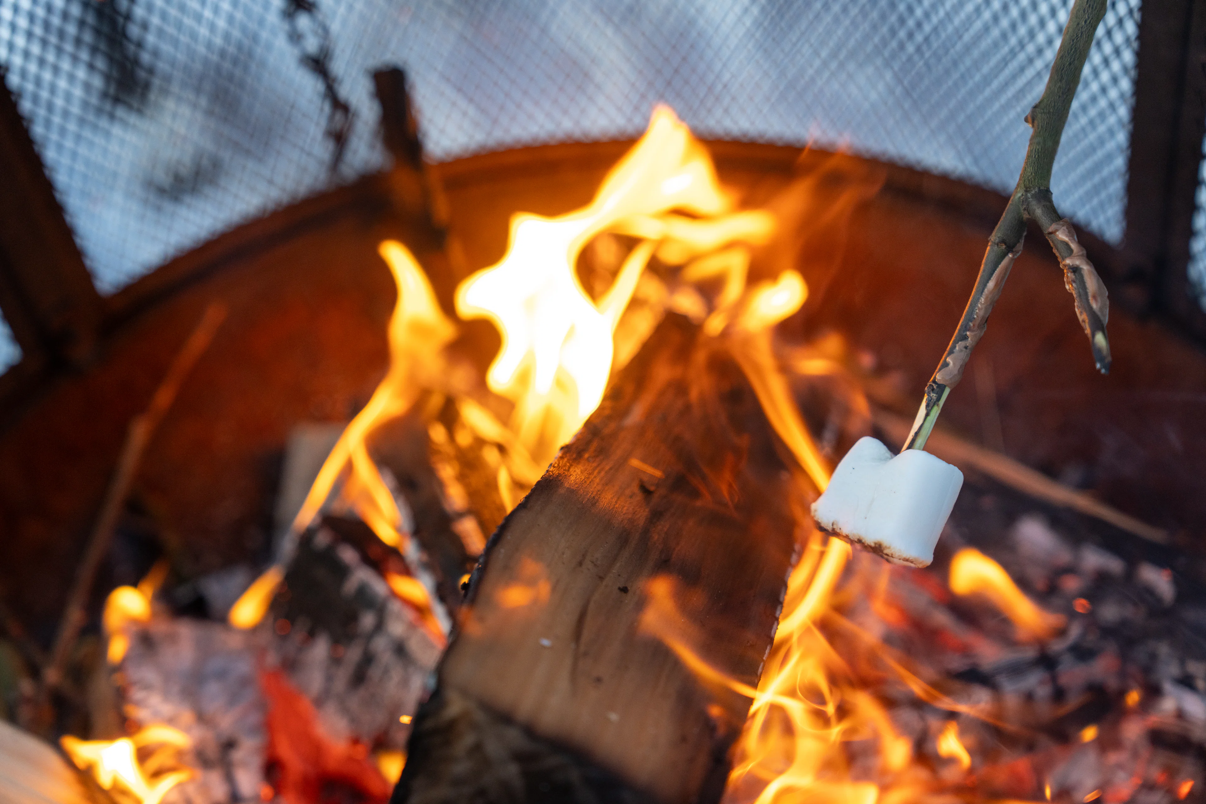 Marshmallows auf der Terrasse