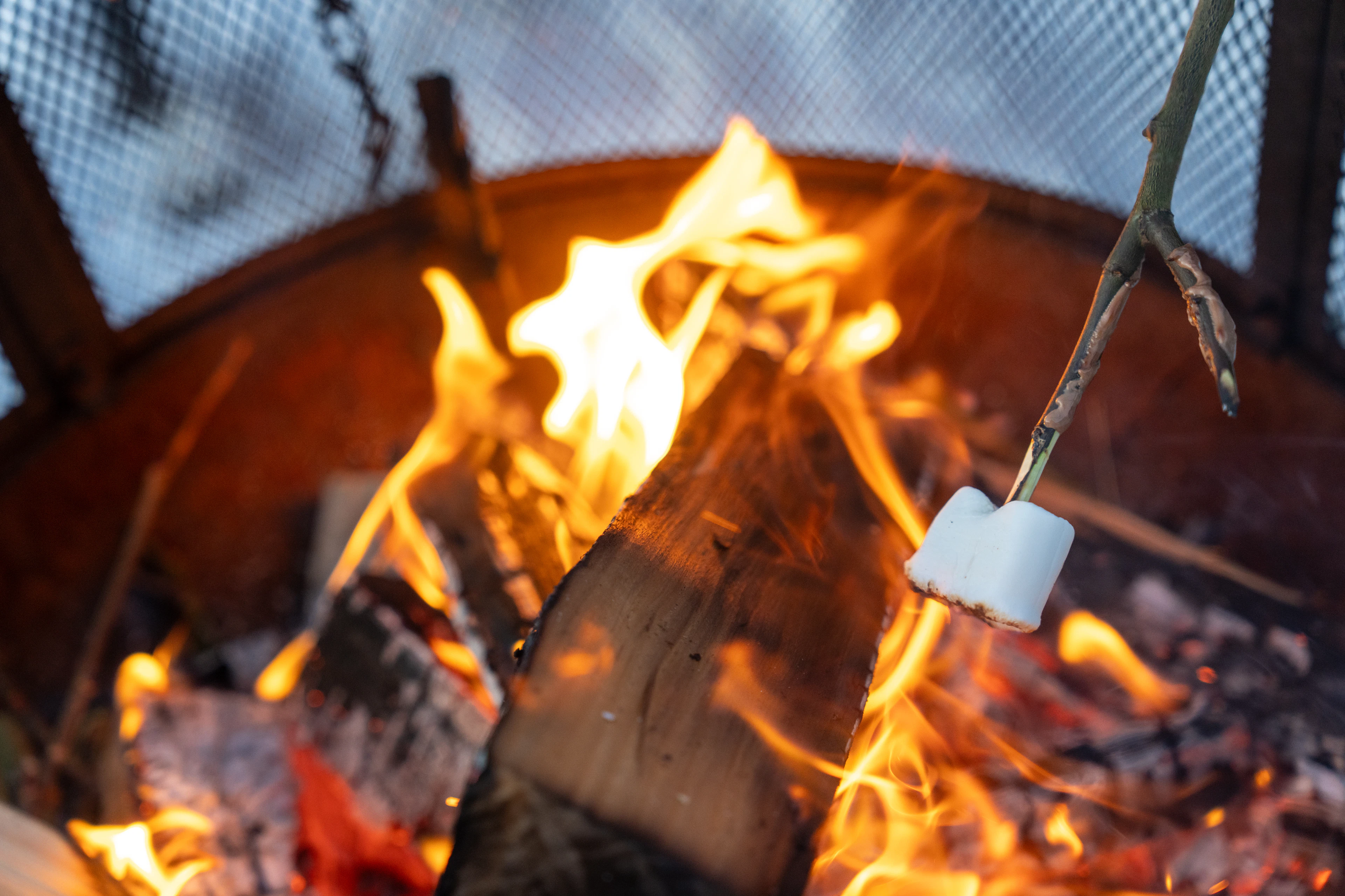 Marshmallows auf der Terrasse