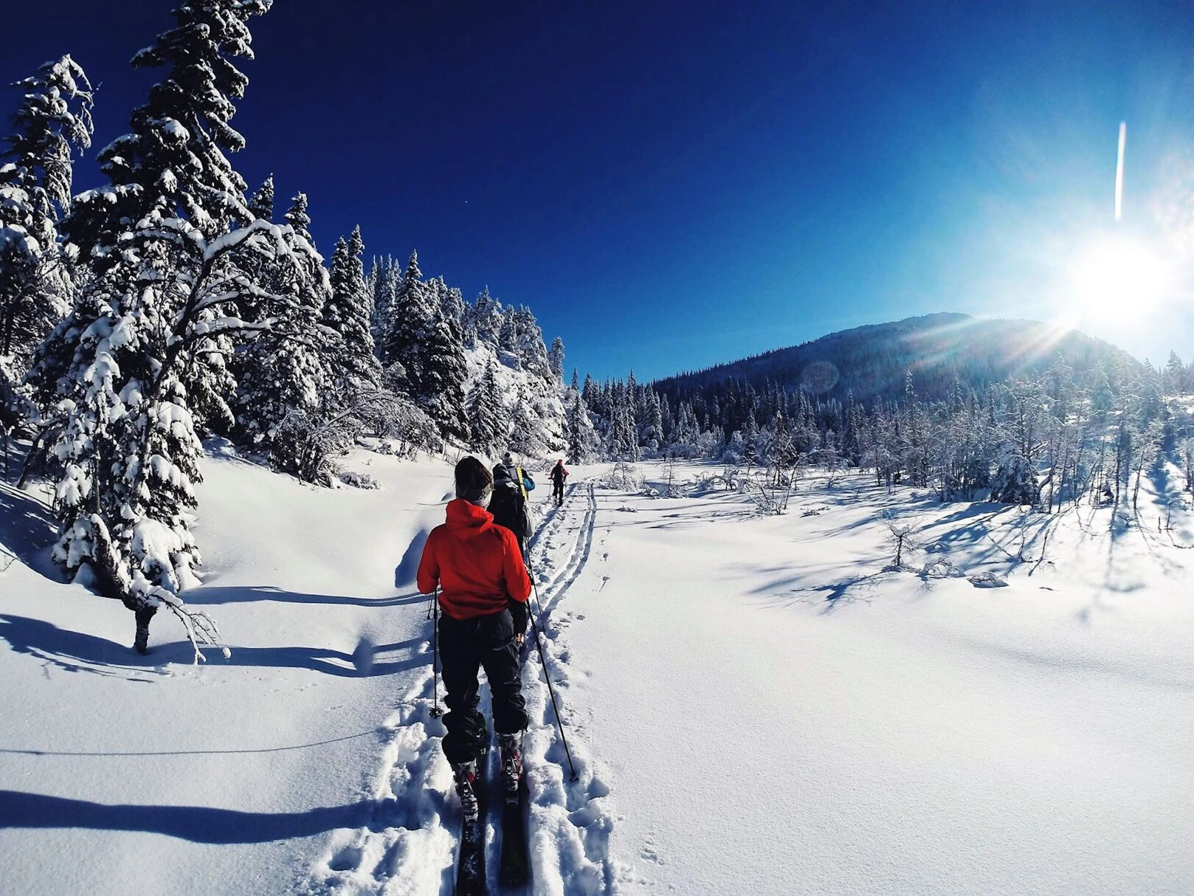 Gipfelskitour im Morgedal - Geführte Wintertouren jedes Wochenende