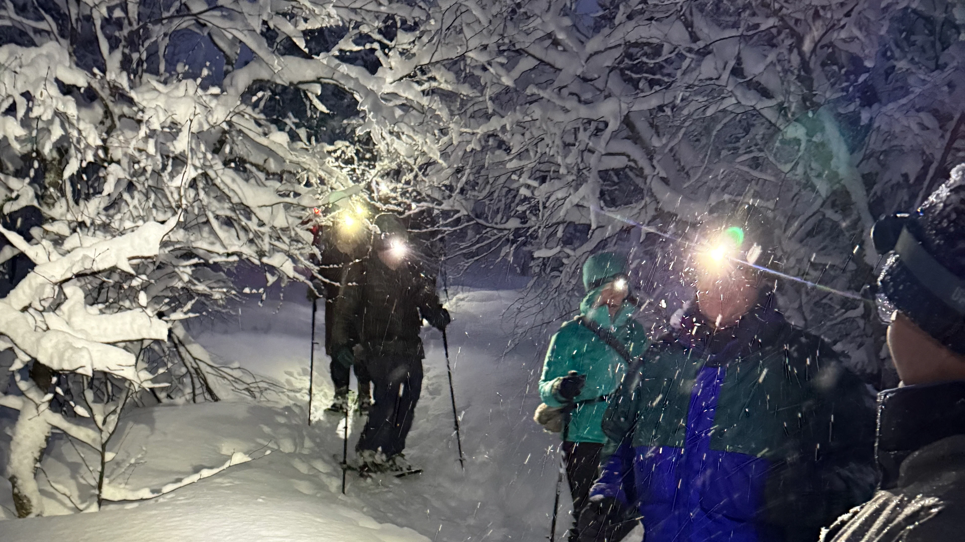 Schneeschuhwanderung im Sternenlicht mit Trollgeschichten - Estenstadmarka | Trondheim