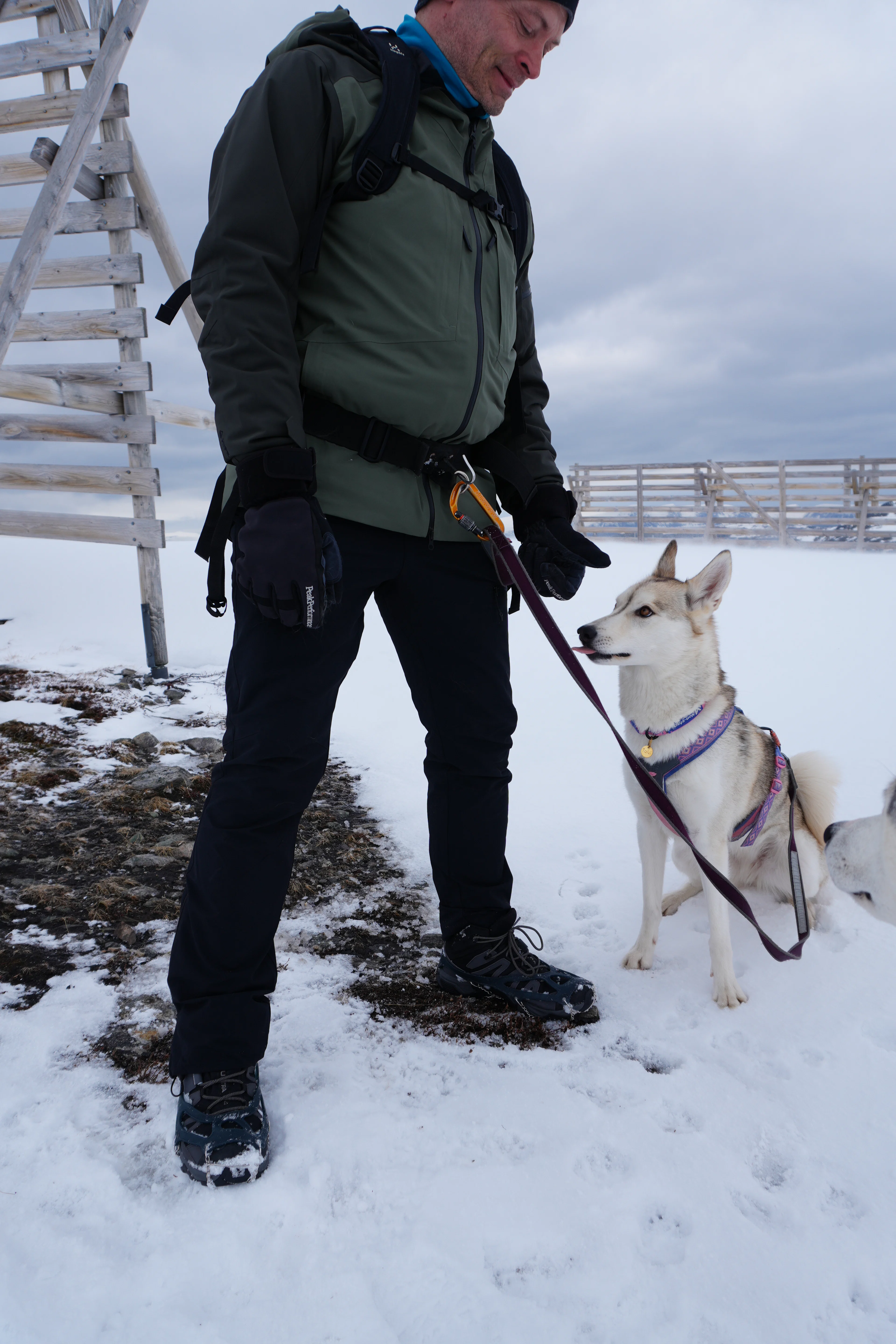 Wandern mit Huskys in Hammerfest