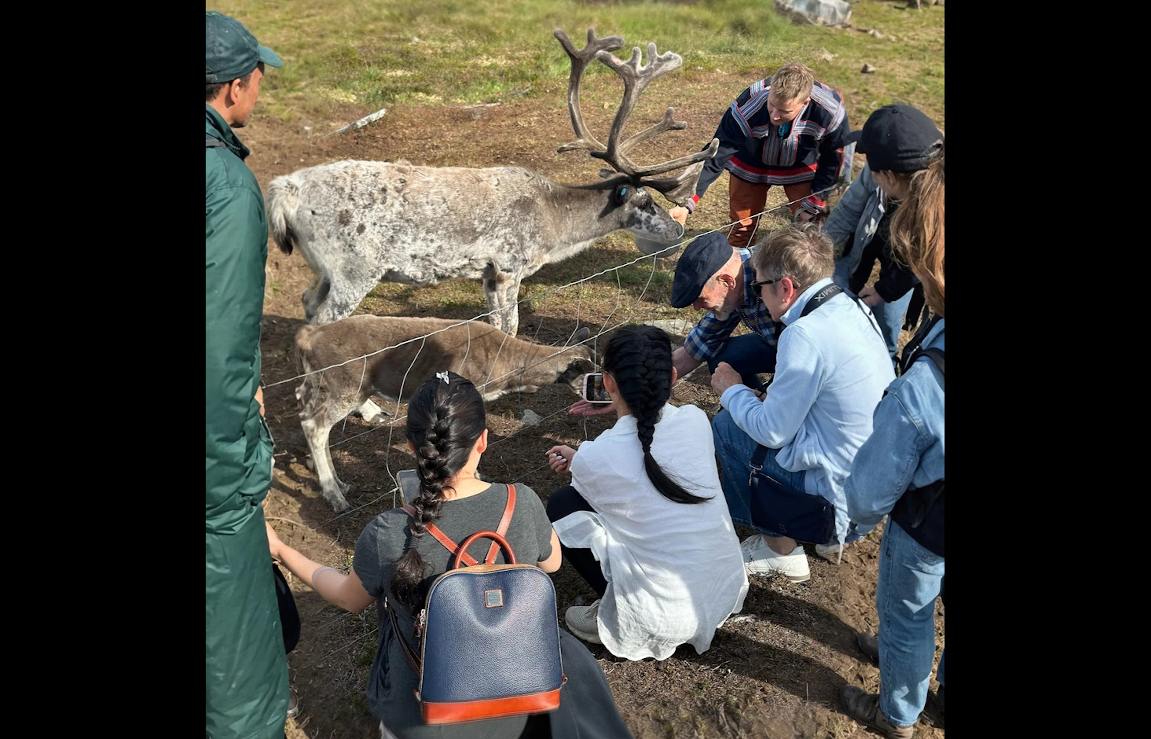 Geführte Tour - Begegnung mit Rentieren in Hammerfest