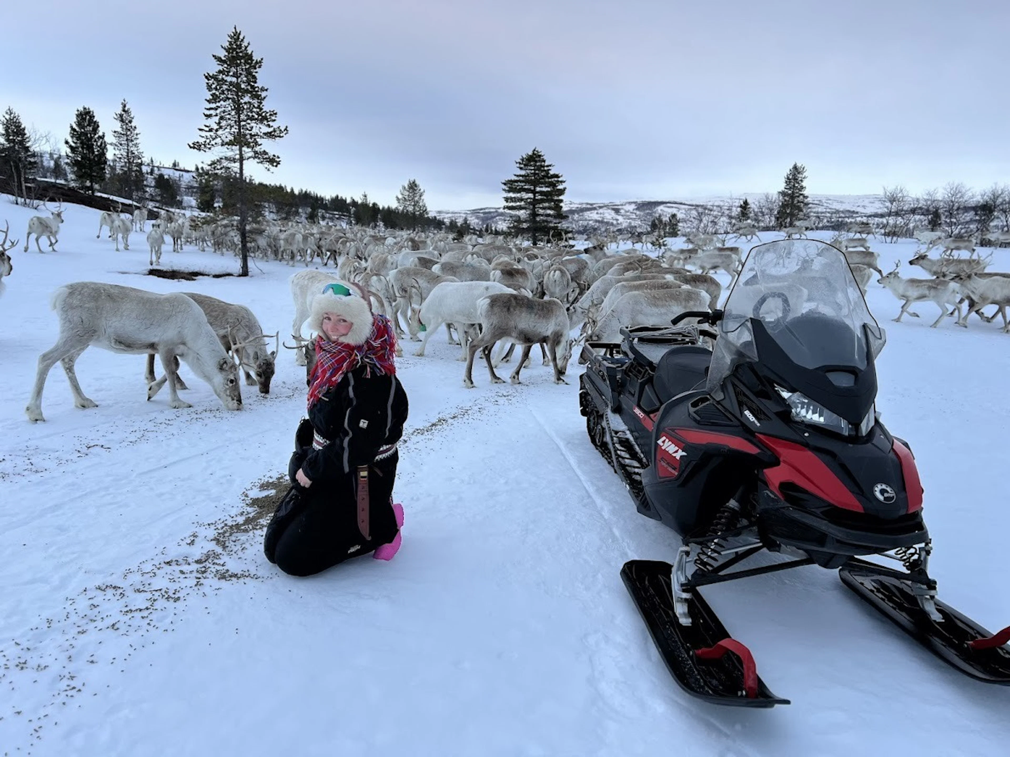 Slow Life - Winterliches Leben mit dem indigenen Volk der Sámi