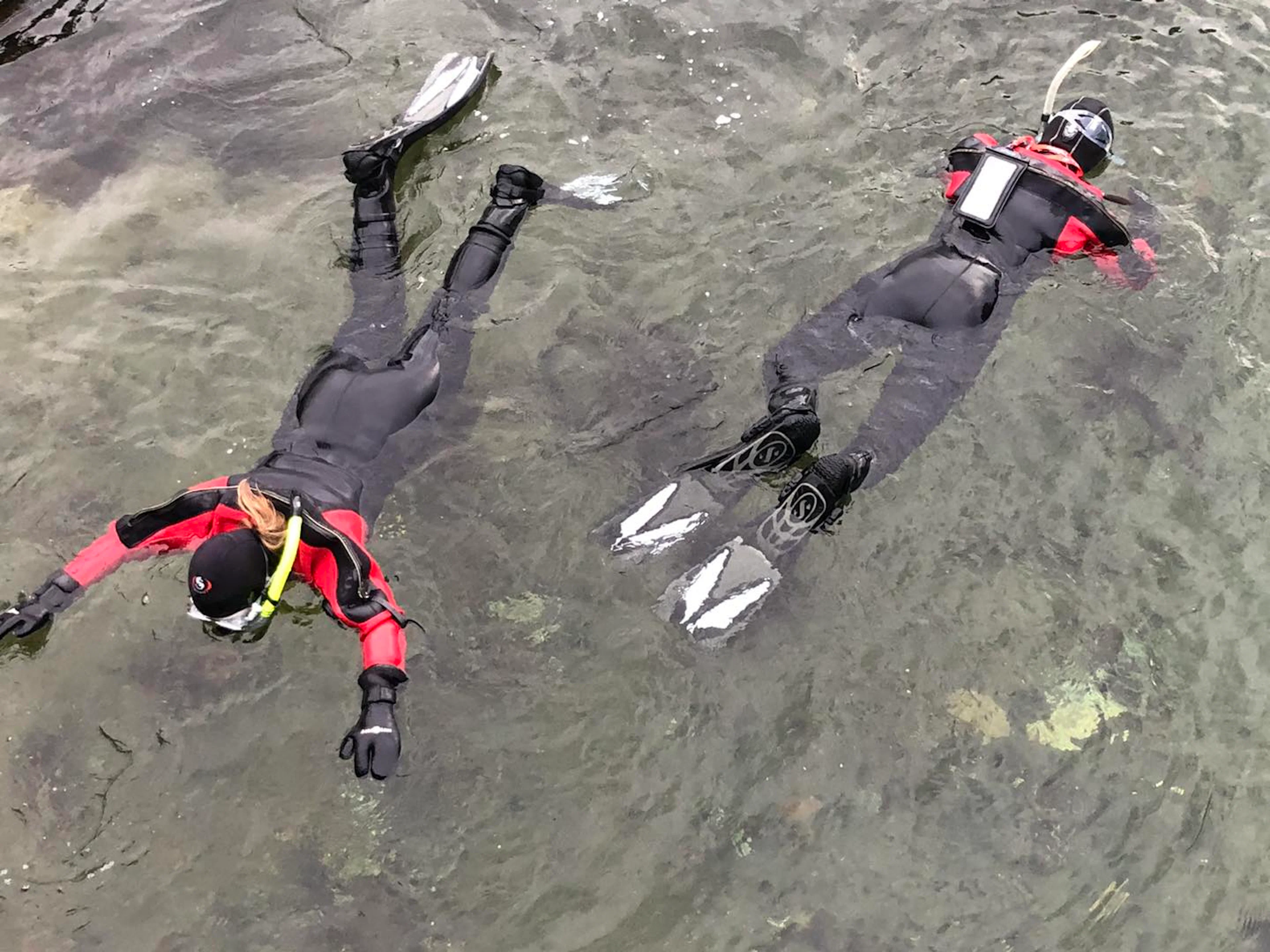 Schnorcheln in Saltstraumen