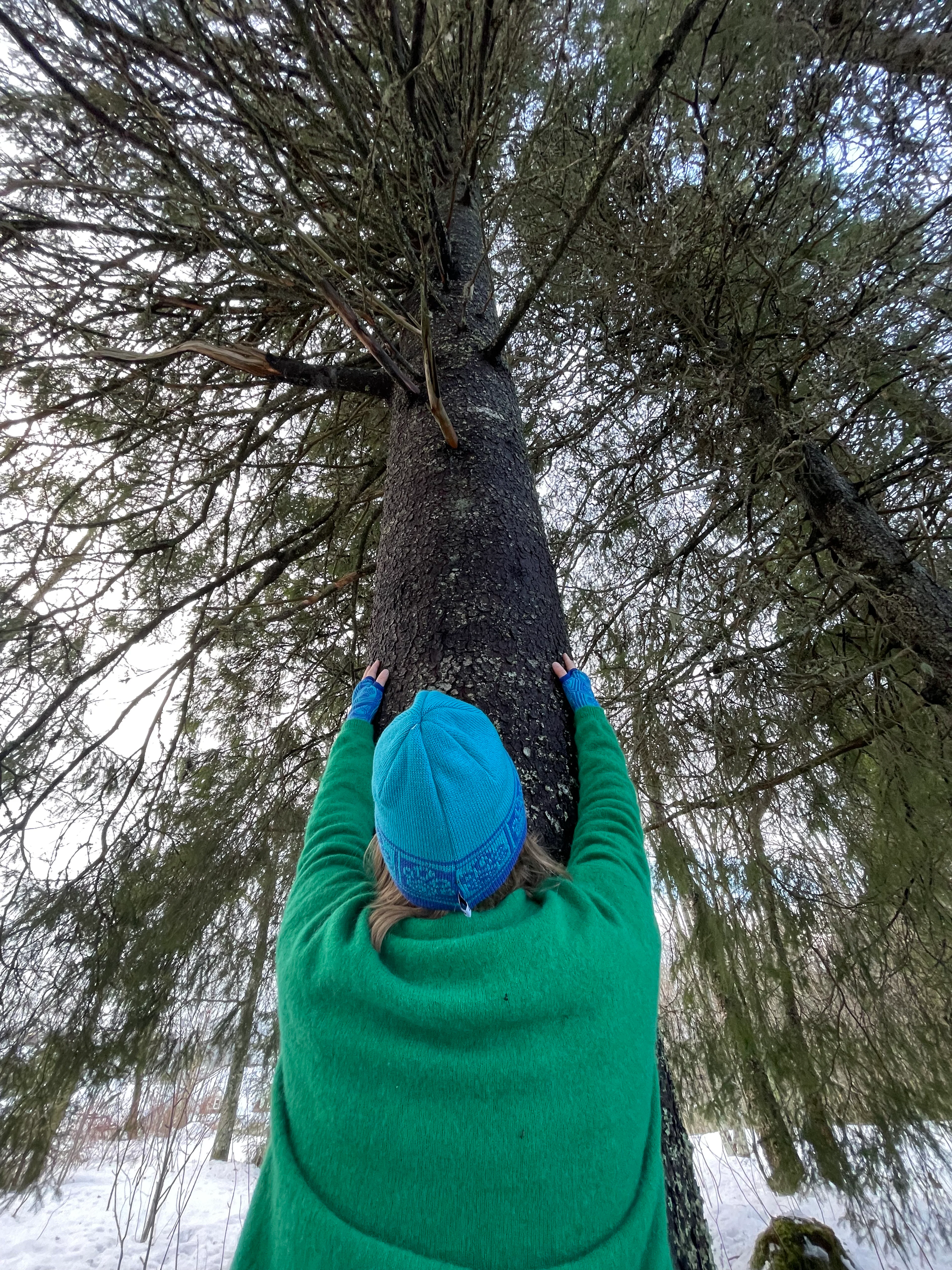 SKOG - Yoga mit der Natur