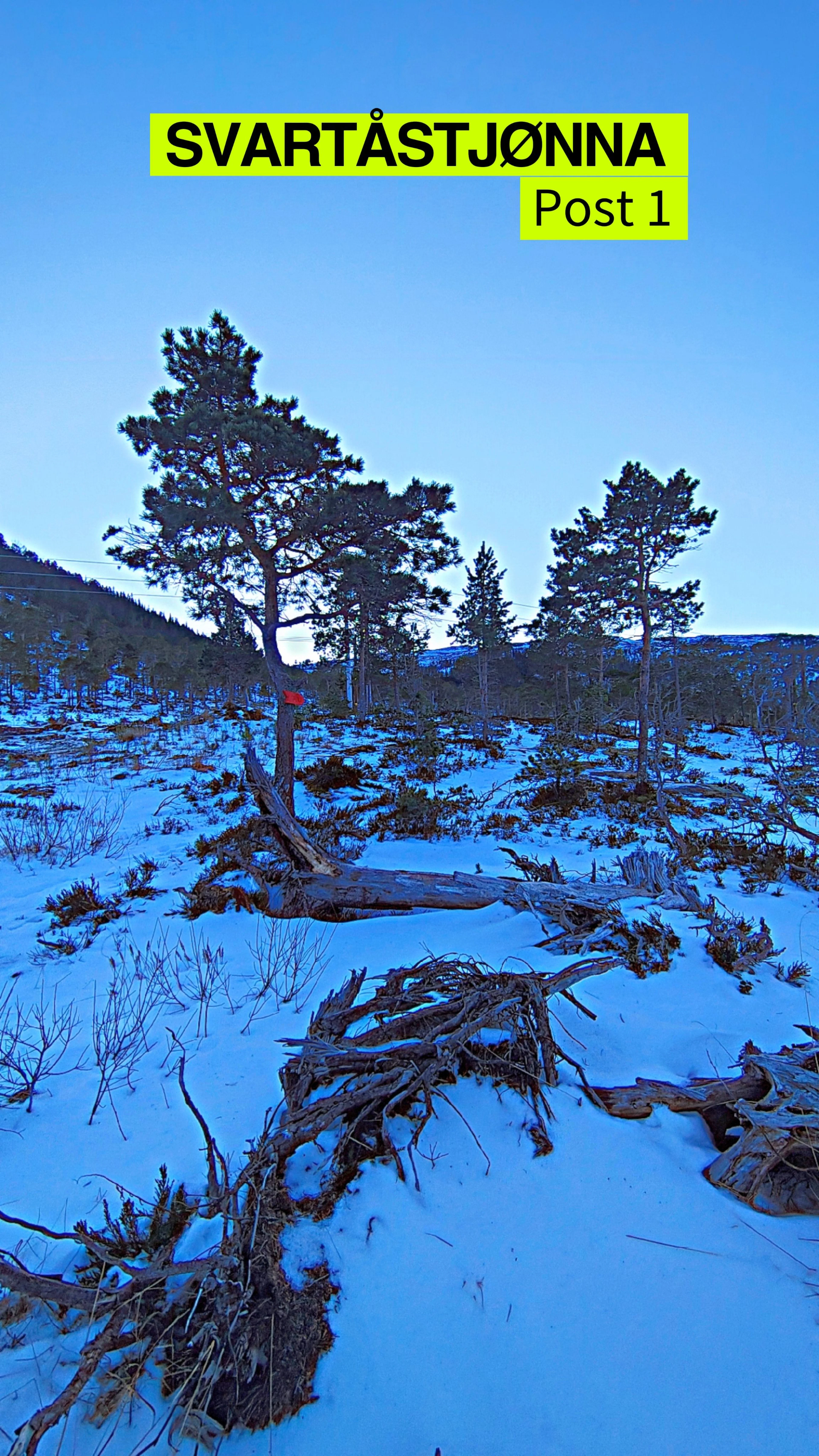 Svartåstjønna