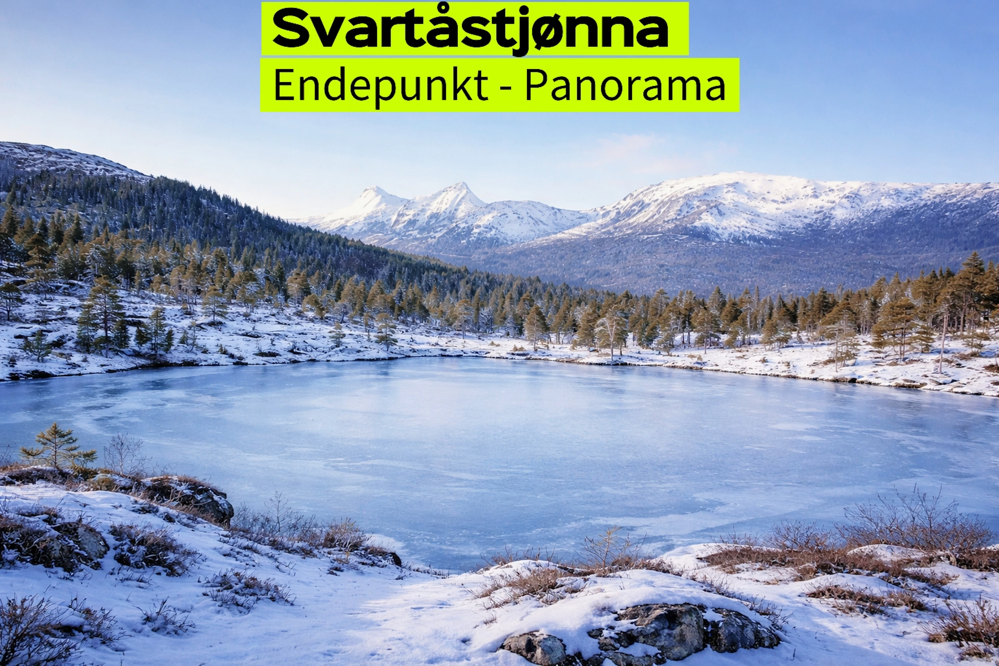 Svartåstjønna