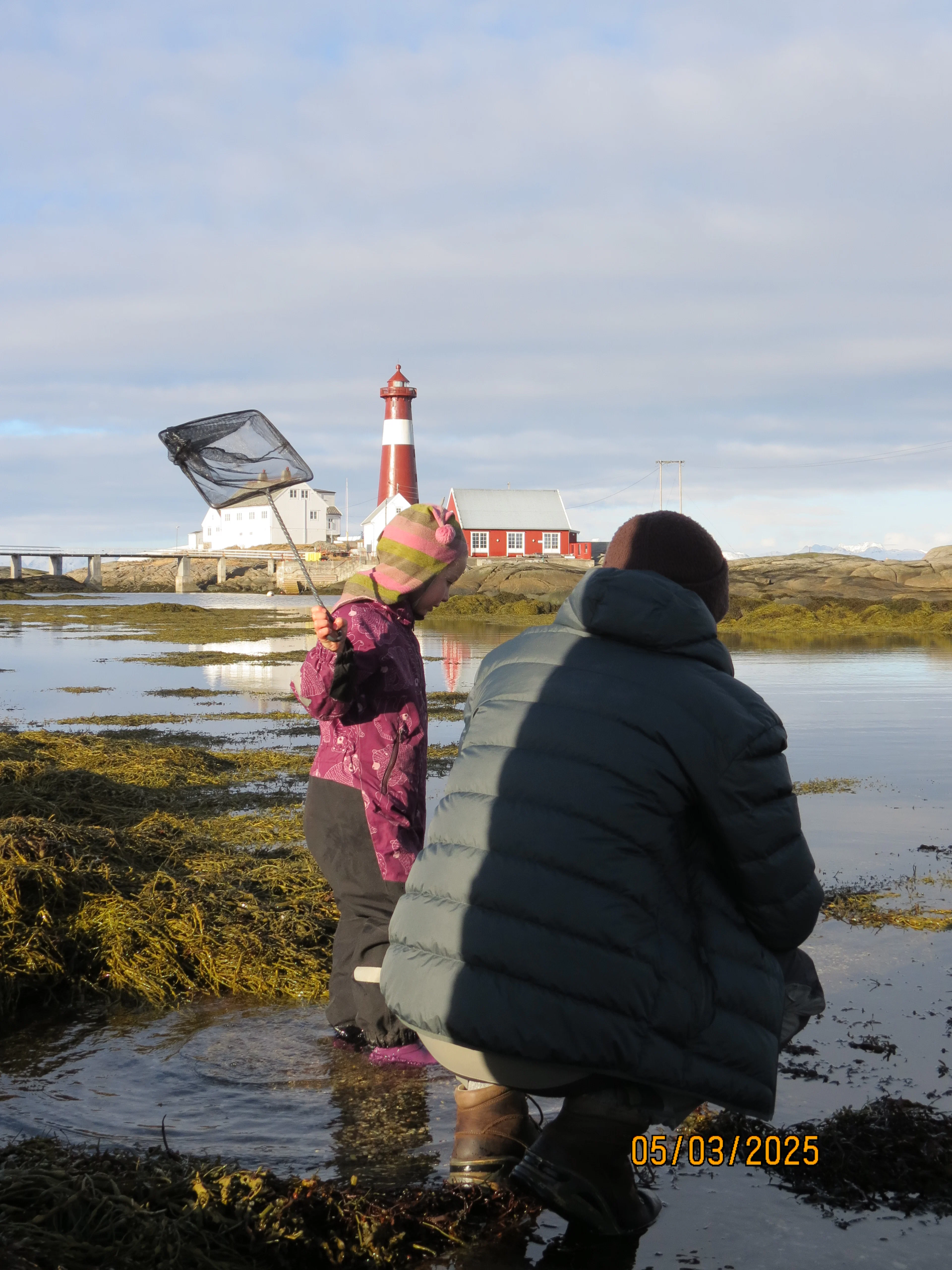 Erkundung des Tierreichs in Tranøy fyr