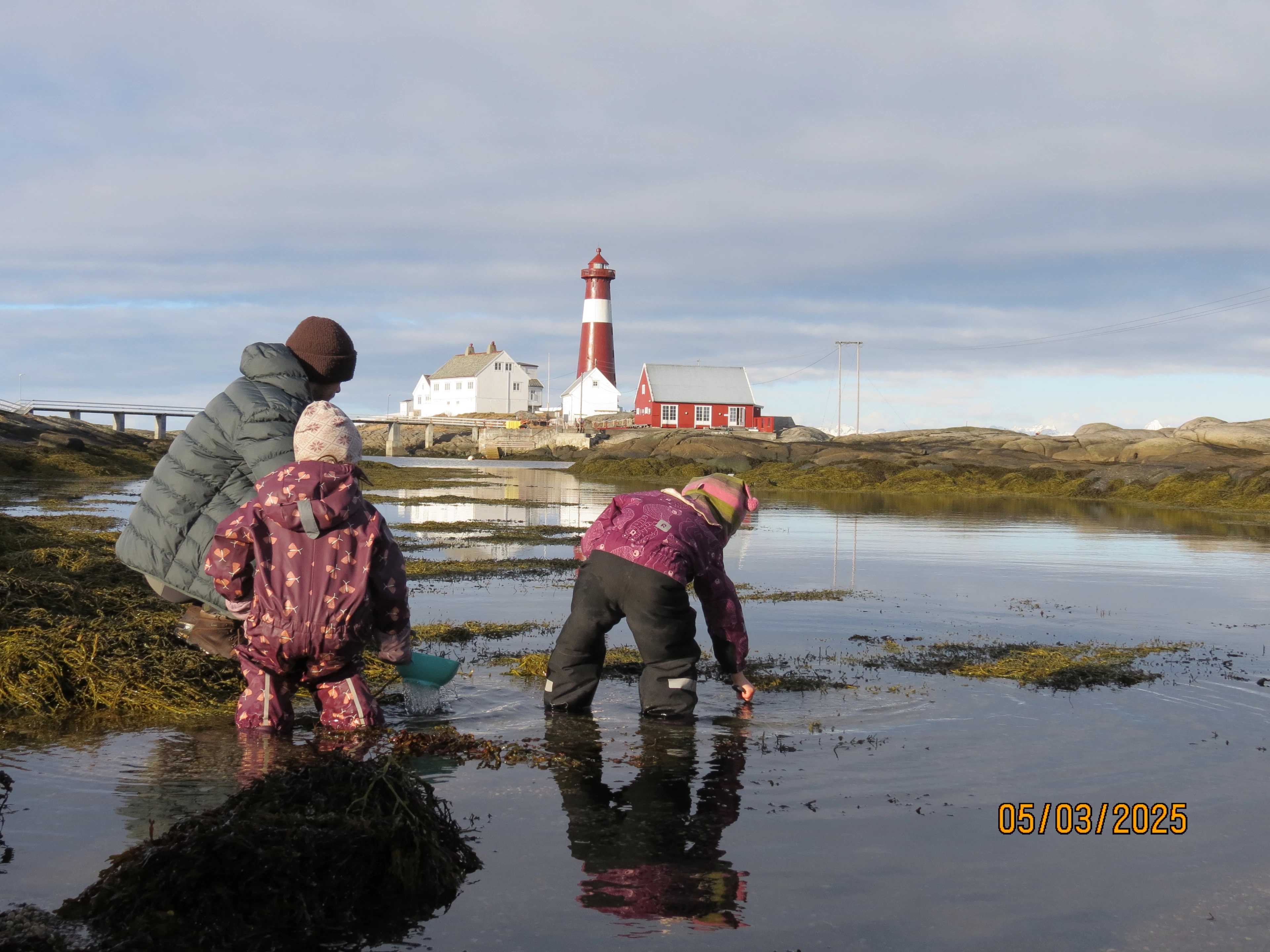 Erkundung des Tierreichs in Tranøy fyr