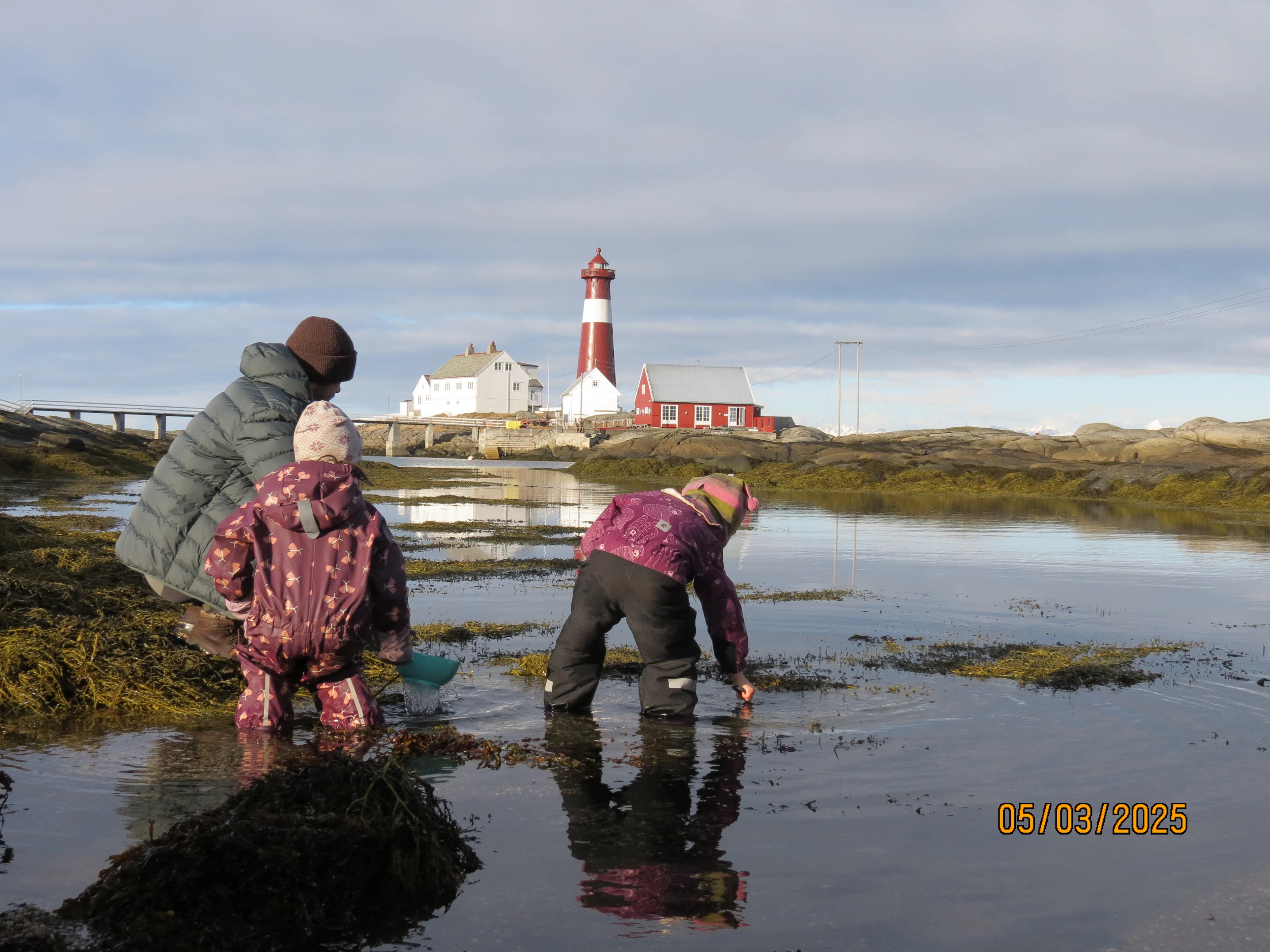 Erkundung des Tierreichs in Tranøy fyr