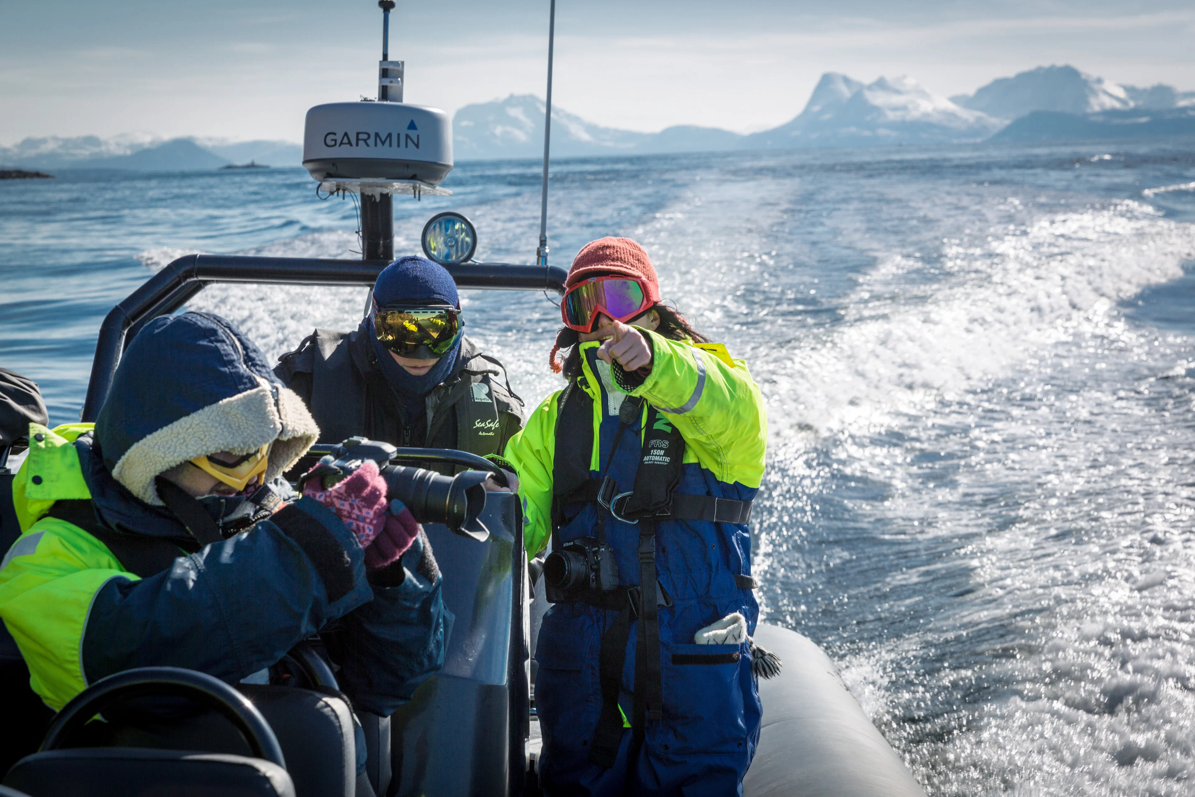 Fjordsafari mit RIB in Harstad