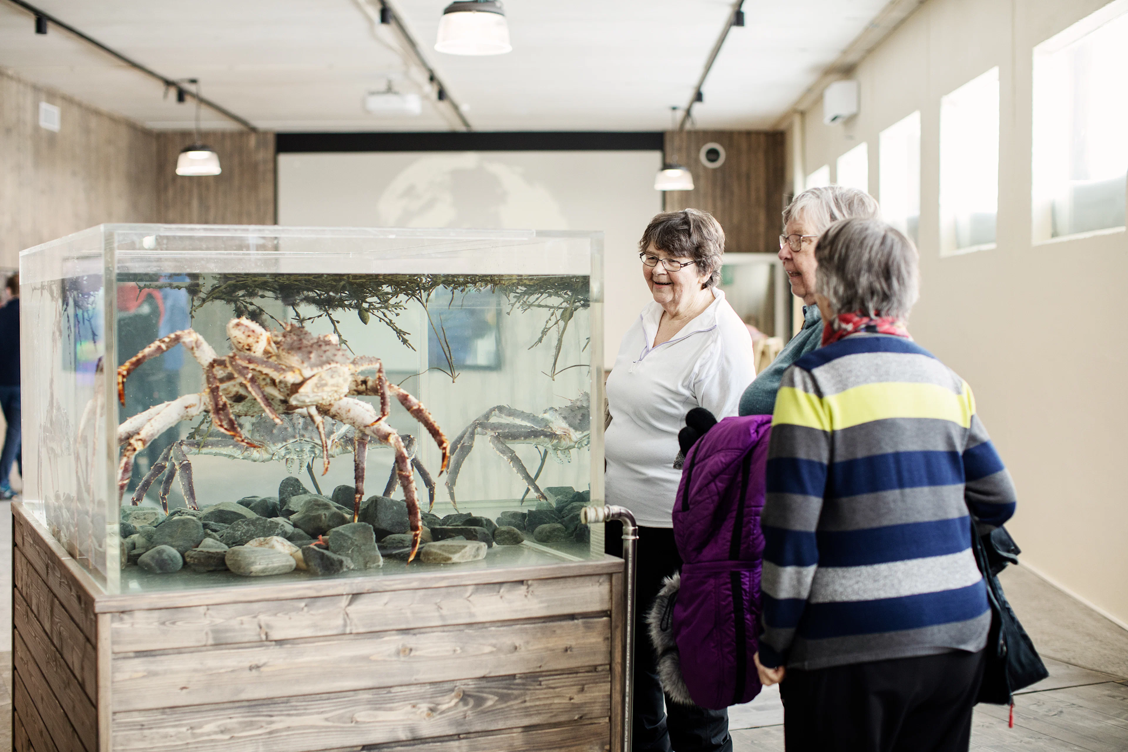 Geführte Fischfabrik-Tour