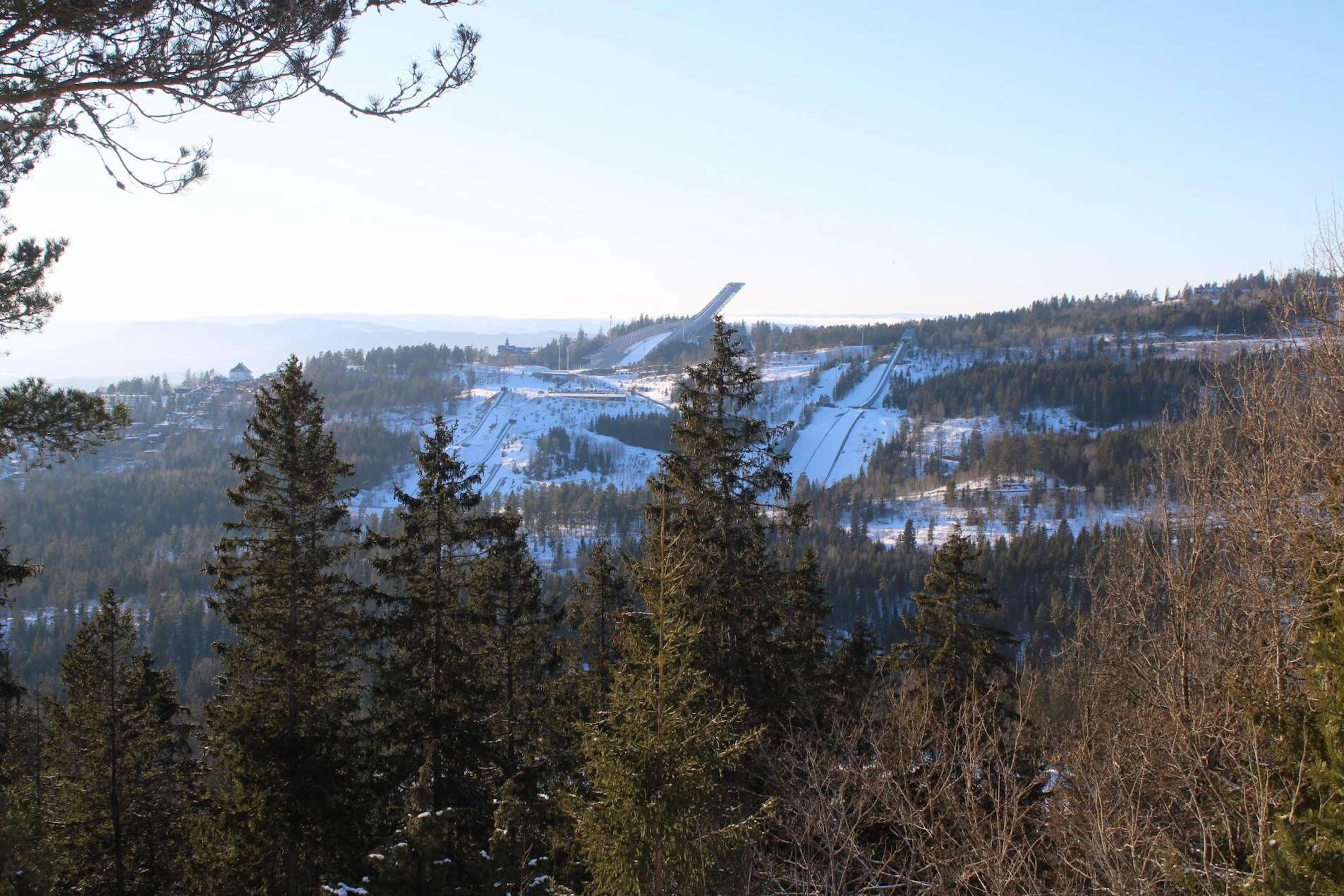 Panorama-Gipfel in Oslo - Die schönste Fjordblick-Wanderung