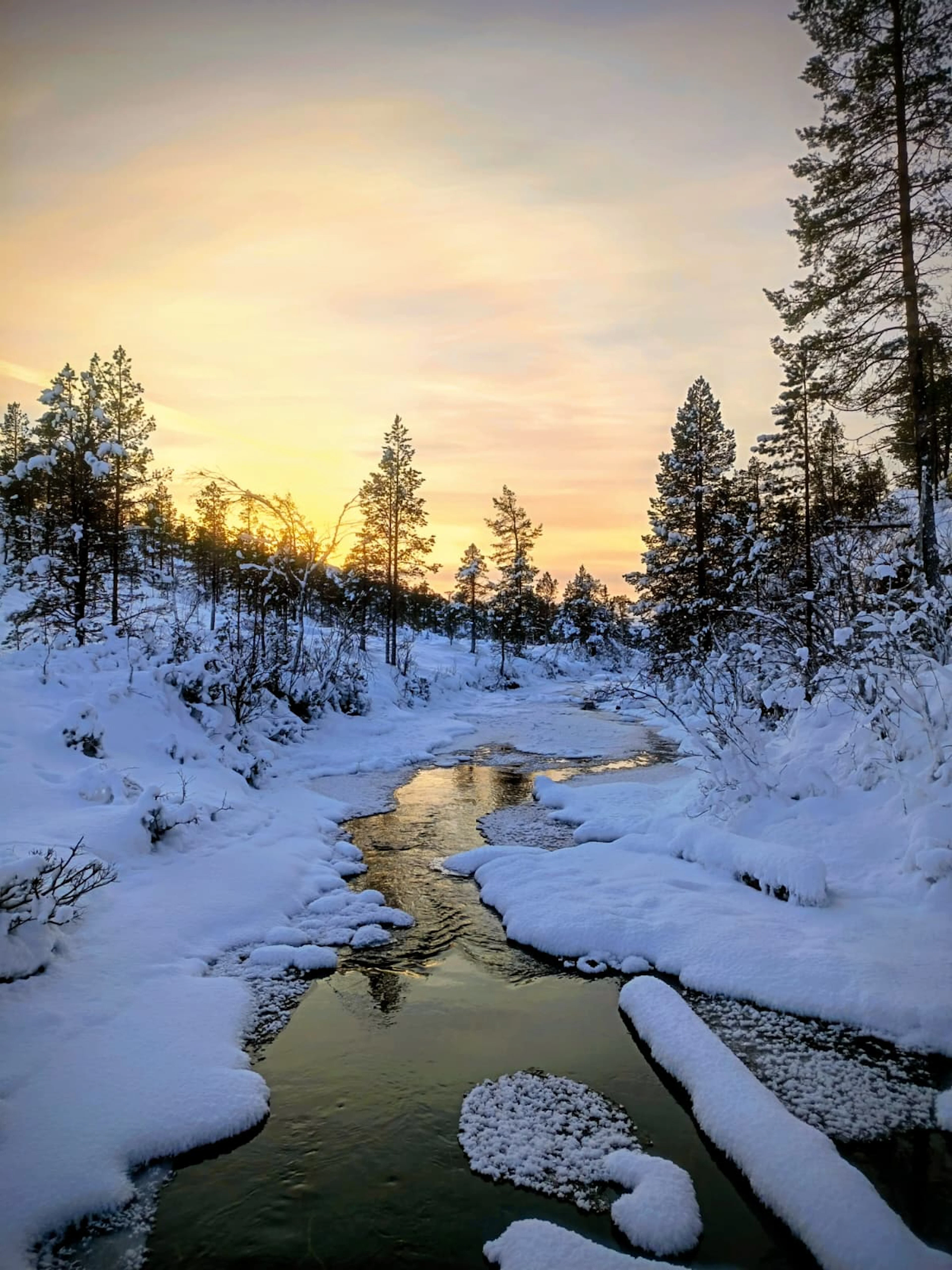 Private Guided Fjord & Mountain Hike Experience