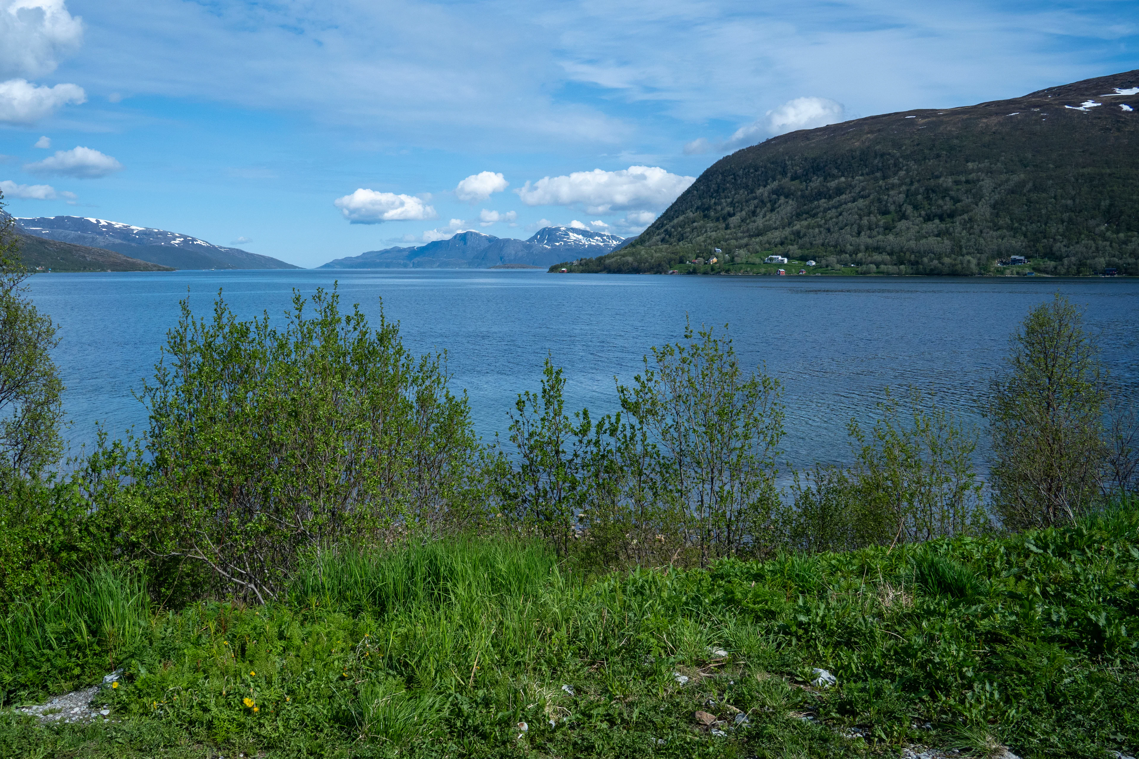 Arktische Fjord Tour