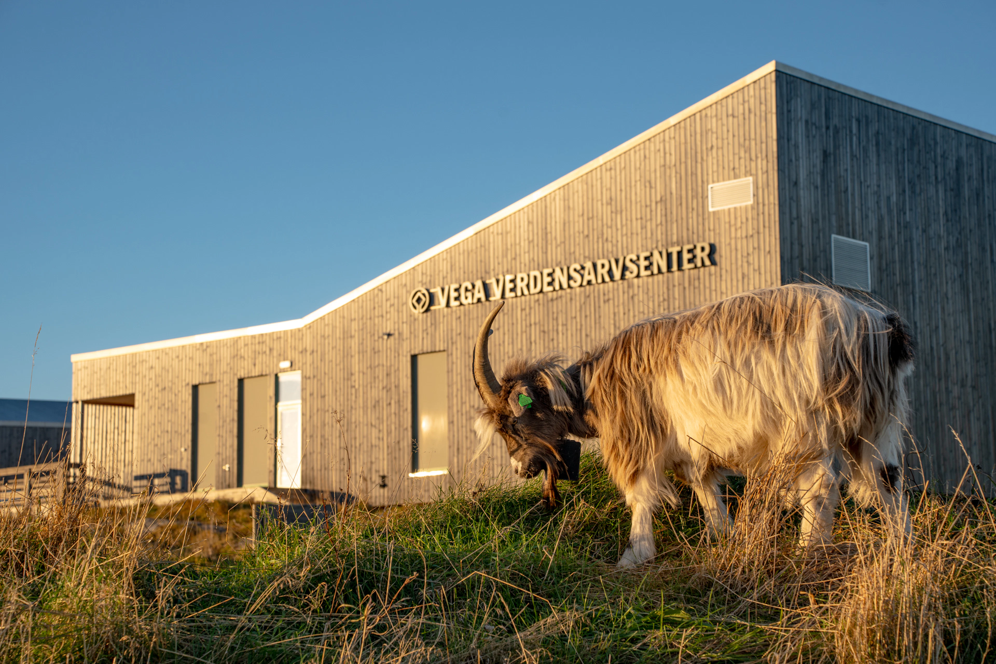 Vega: Ausstellungen im Vega World Heritage Center