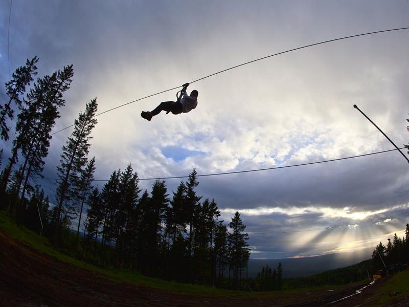 Ziplining fra tretopp til tretopp.