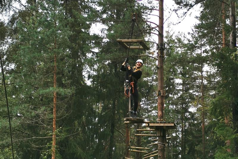Zipline mellom trærne