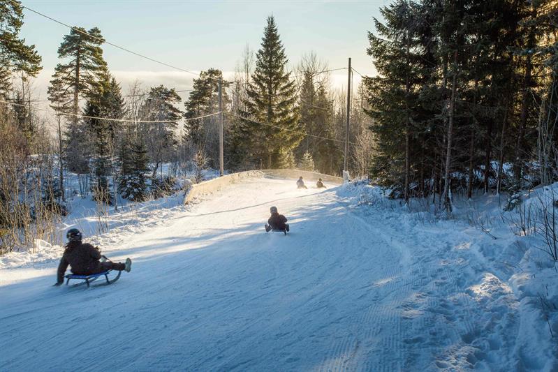 Piste de luge de Korketrekkeren