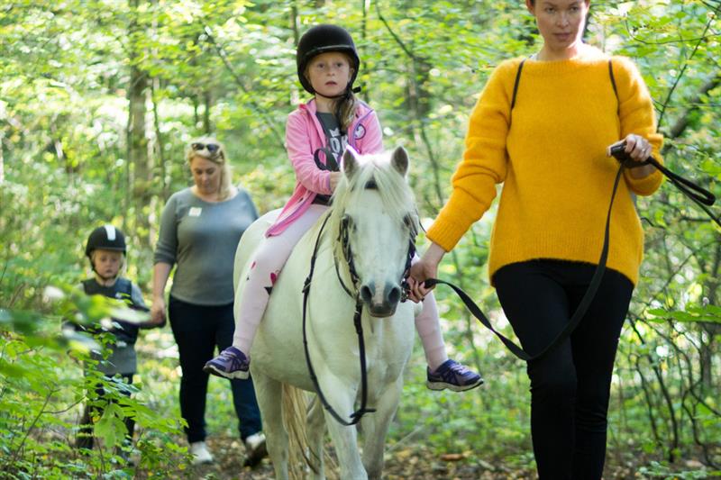 EKT Riding School and Petting Zoo