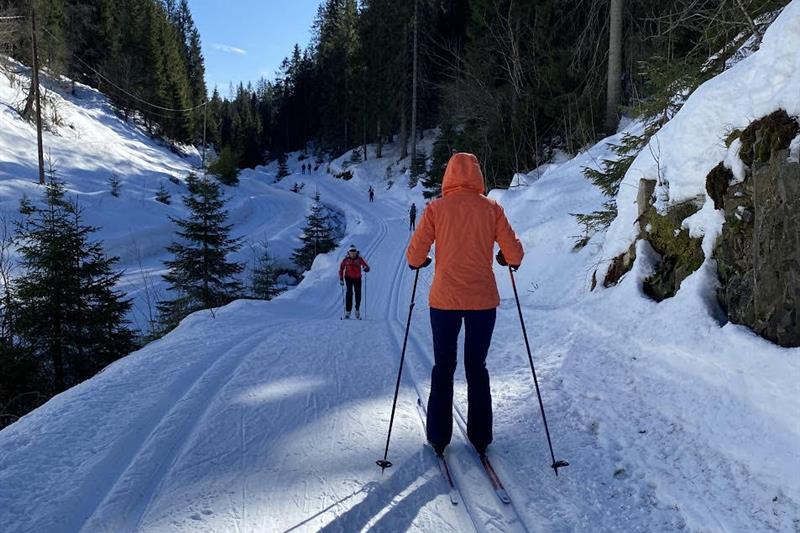 Cross country skiing