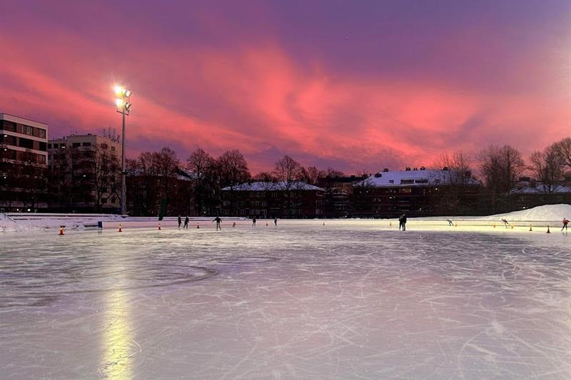 Ice skating rink under a pink sky