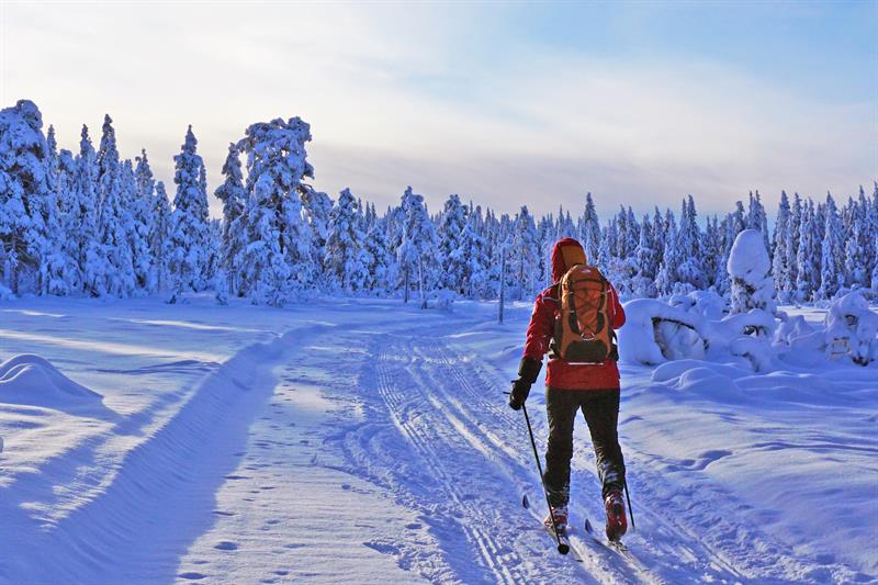 En person på langrenn i vinterlandskapet