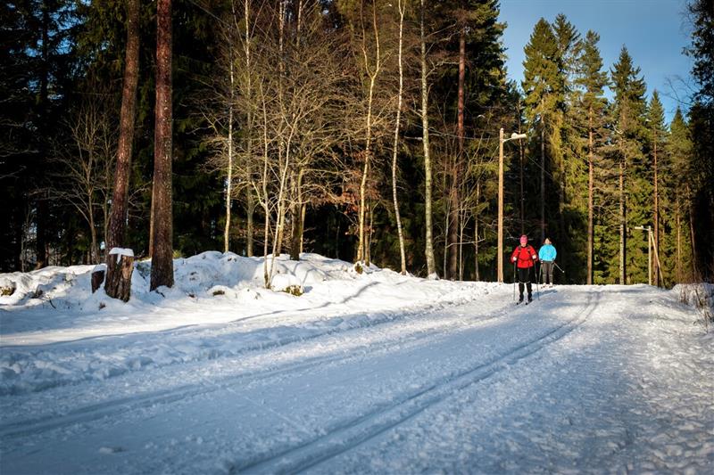 Skiglede skiskole
