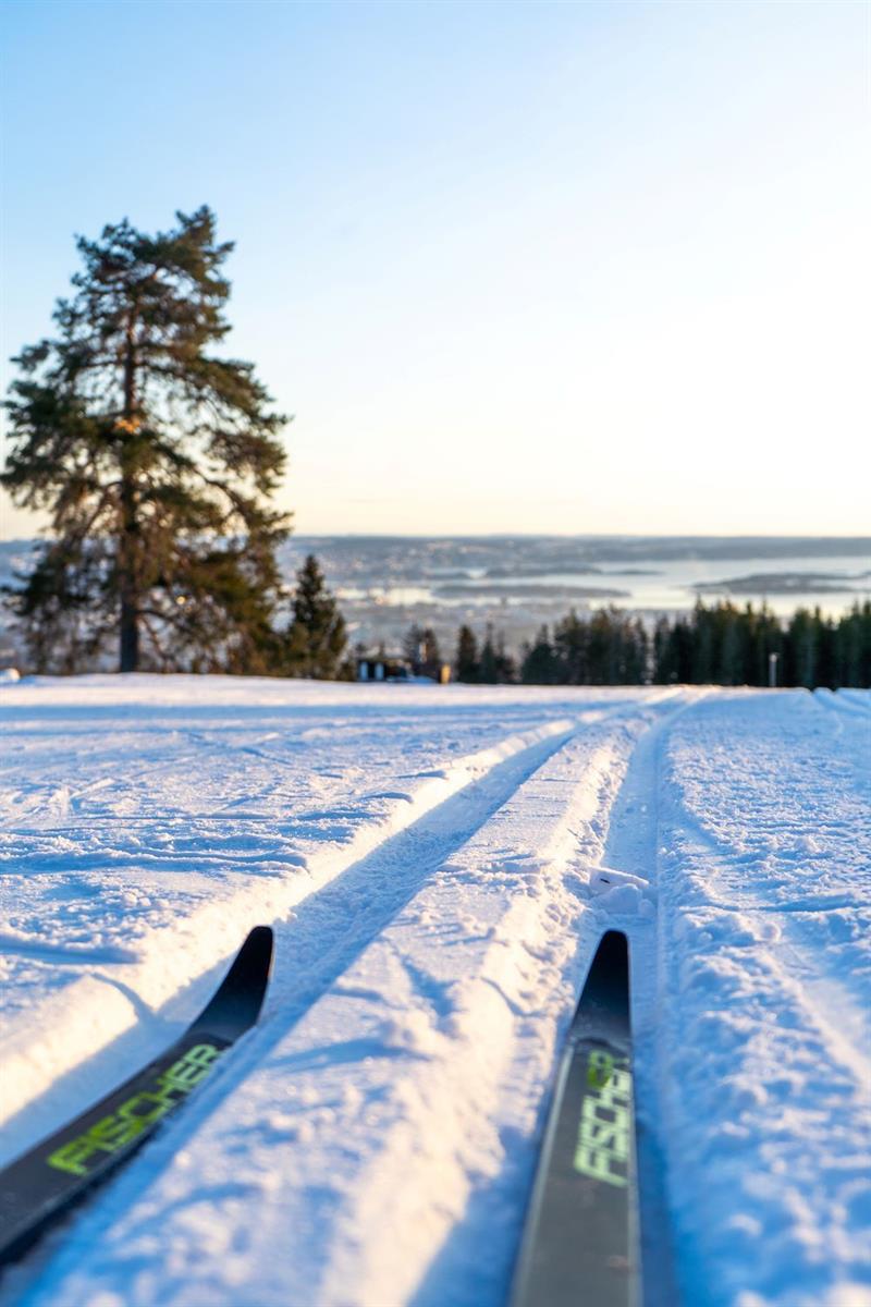 gå på ski i langrennsløypene