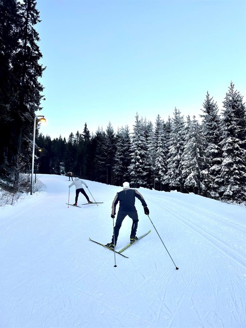 skiløpere i skogen