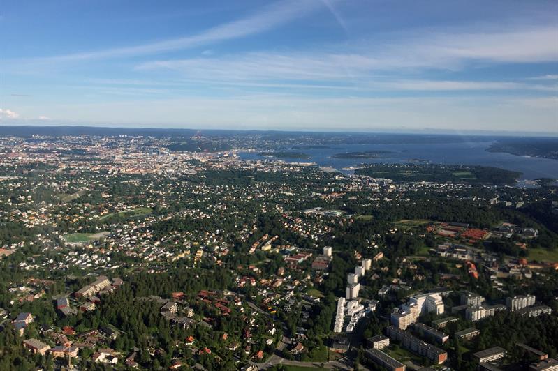 Luftfoto av skog med hus spredt utover. 