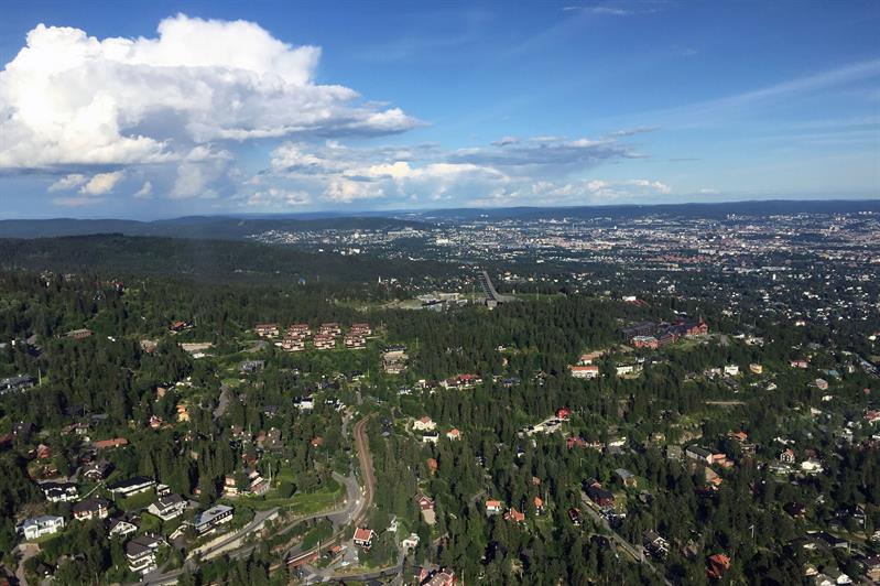 Luftfoto av skog med hus spredt utover. 
