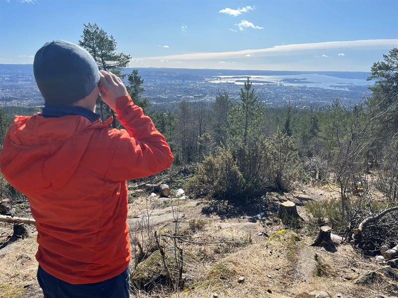 En person ser ut over byen og fjorden fra en ås på landsbygda.
