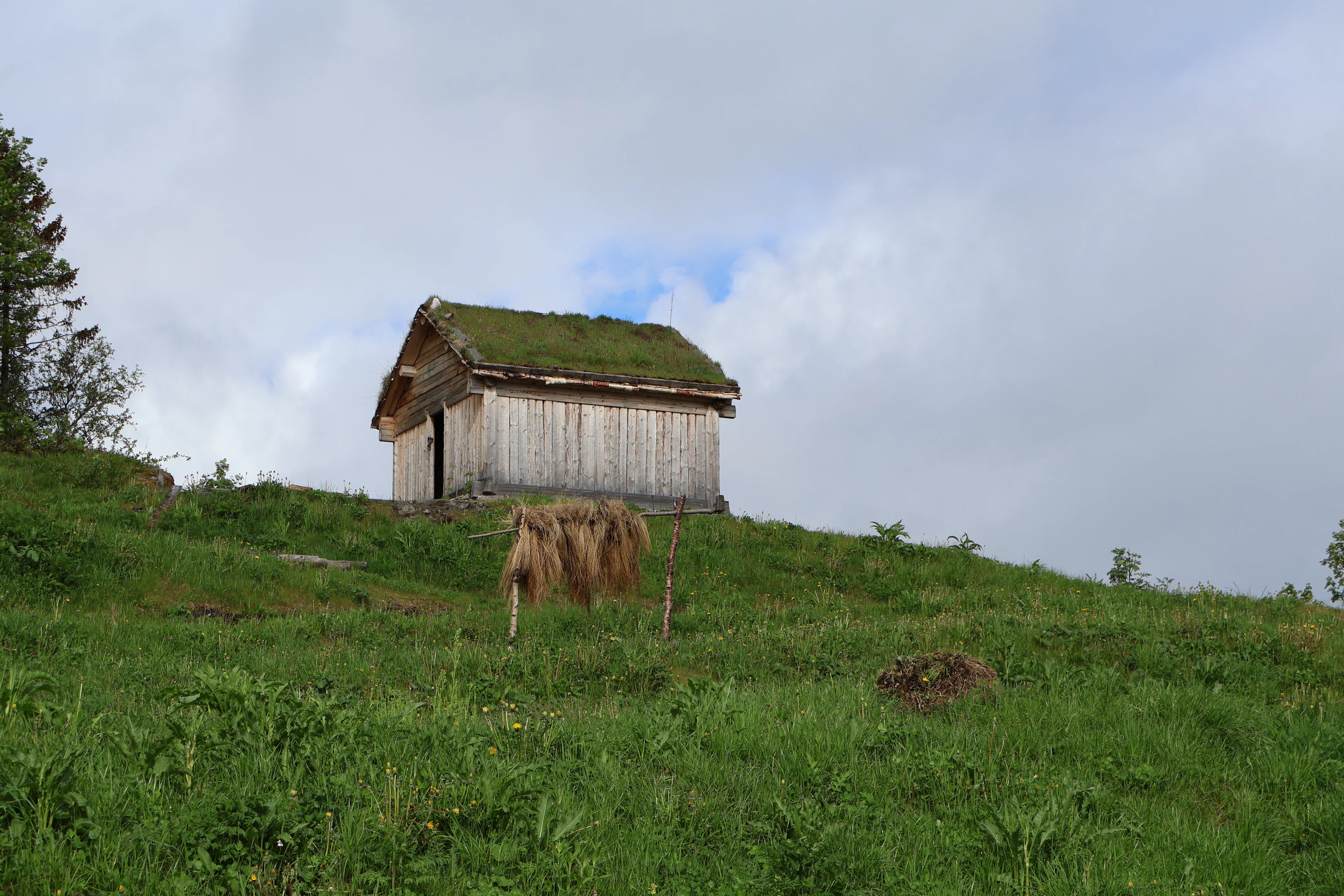 Panorama-Stadtrundfahrt durch Harstad