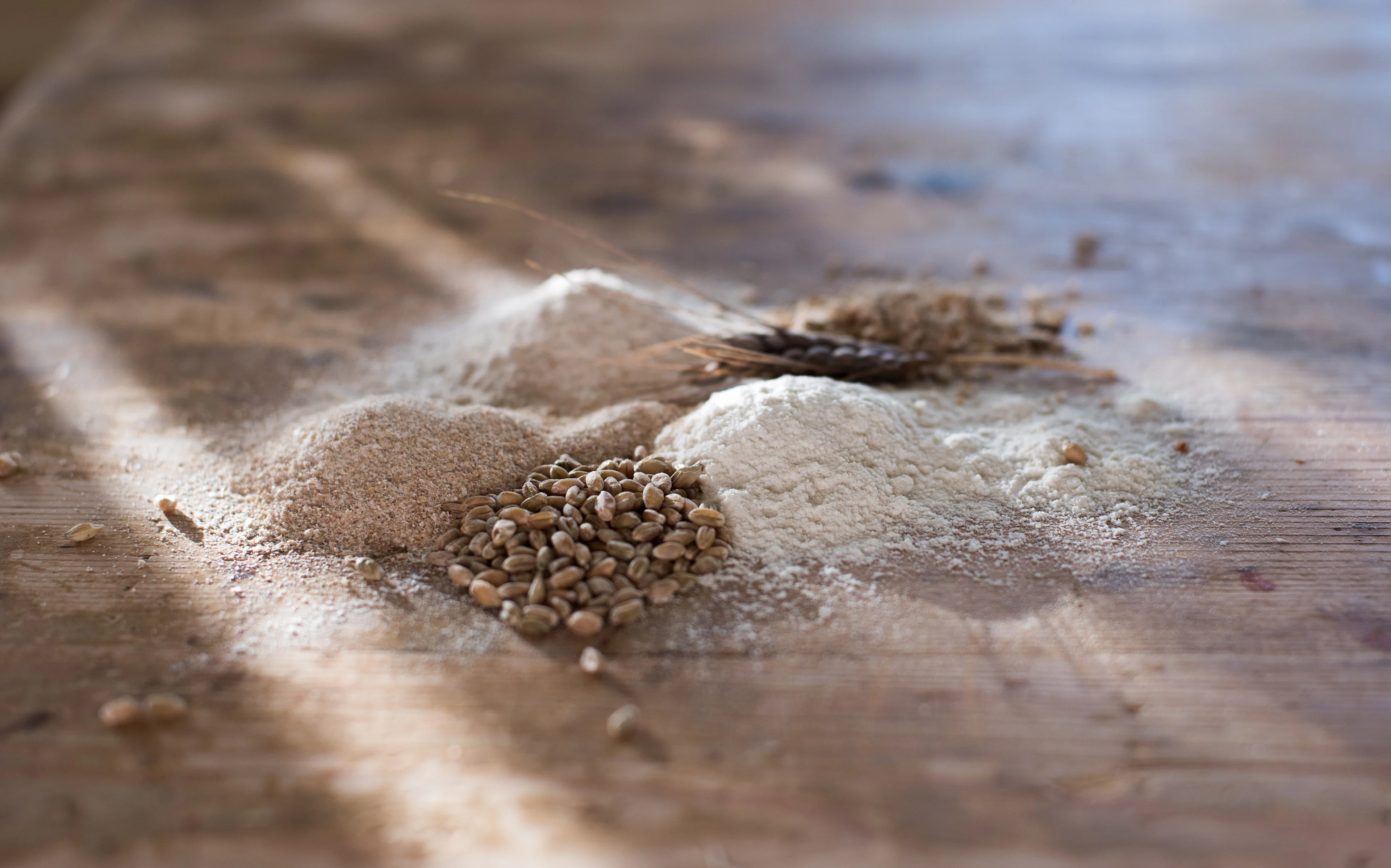 Der Backkurs – „Das Brot der Zukunft mit dem Getreide der Vergangenheit“