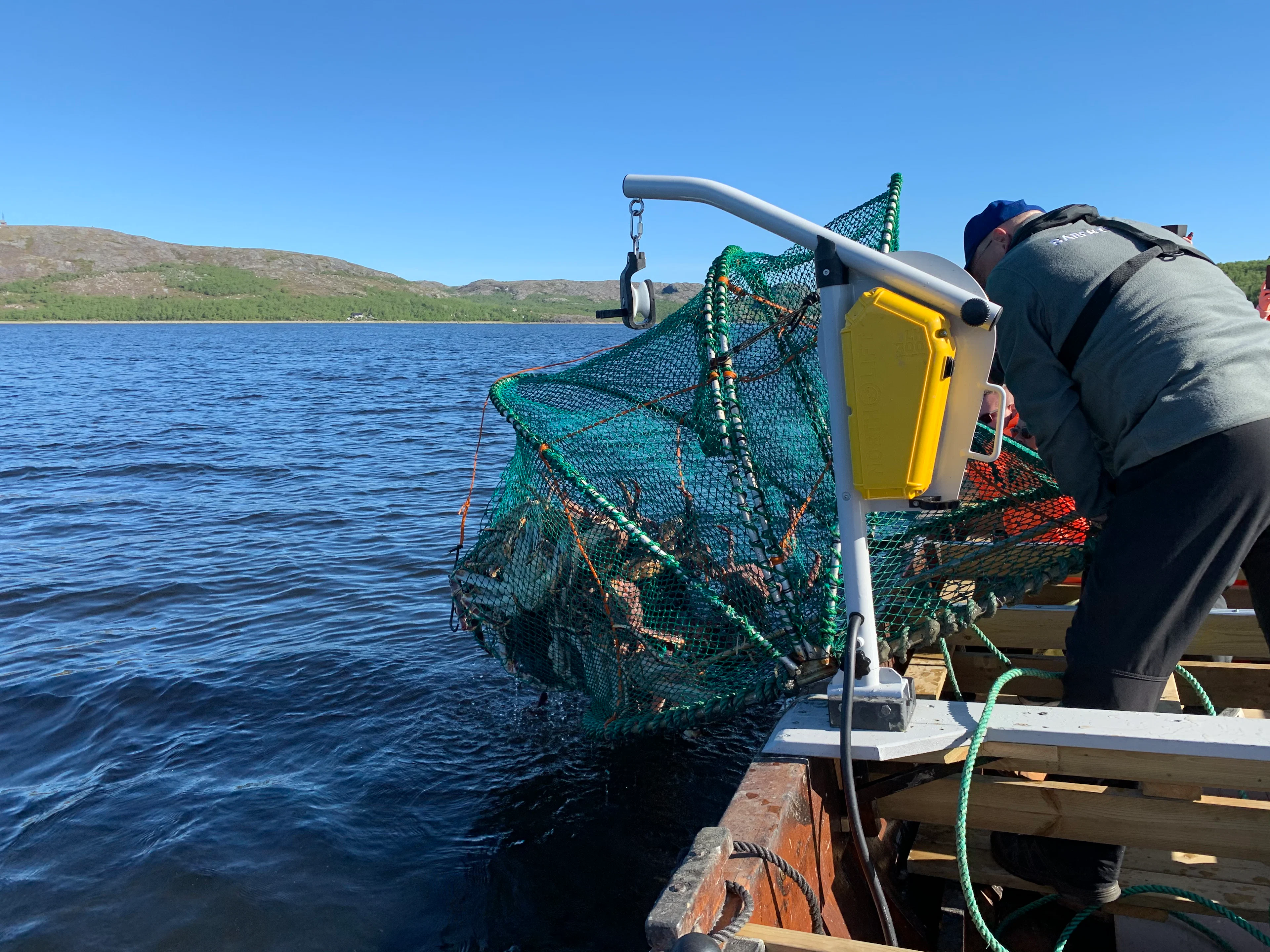 Königskrabben-Safari mit dem Flussboot bis zur norwegischen Grenze