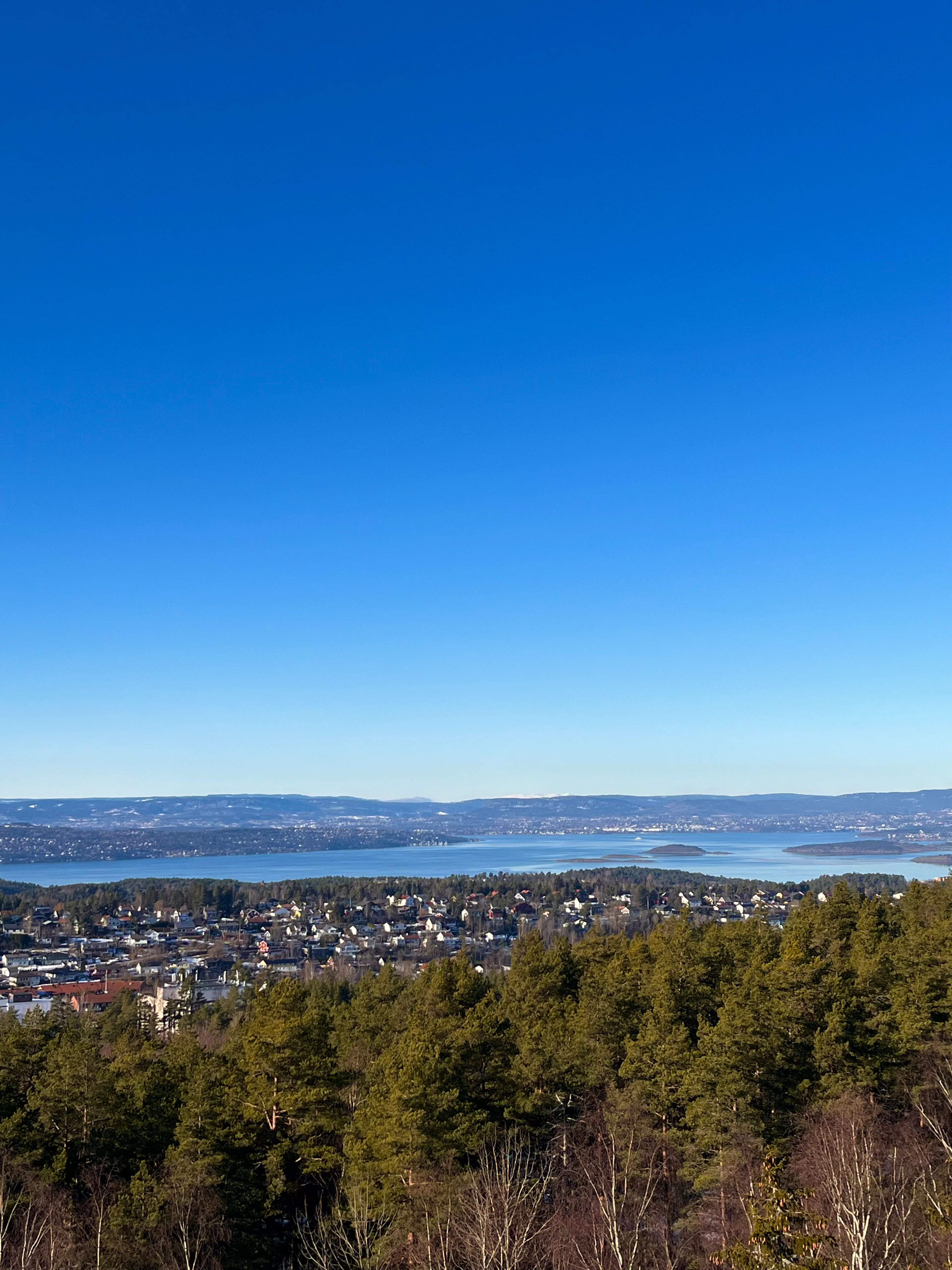 Oslo: Relaxing Hike with Panoramic Fjord Views with Local Guide & Dog