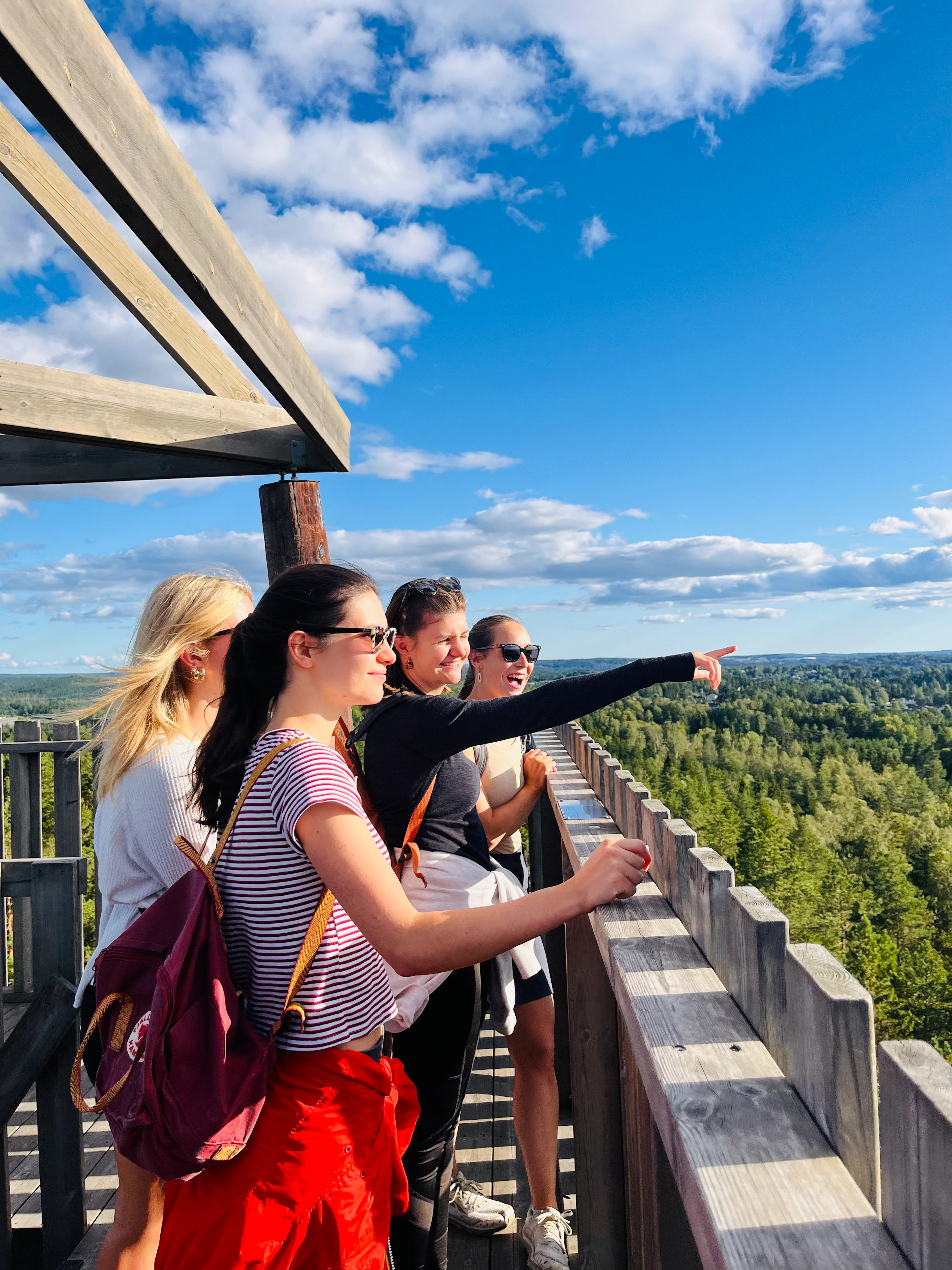 Oslo: Relaxing Hike with Panoramic Fjord Views with Local Guide & Dog